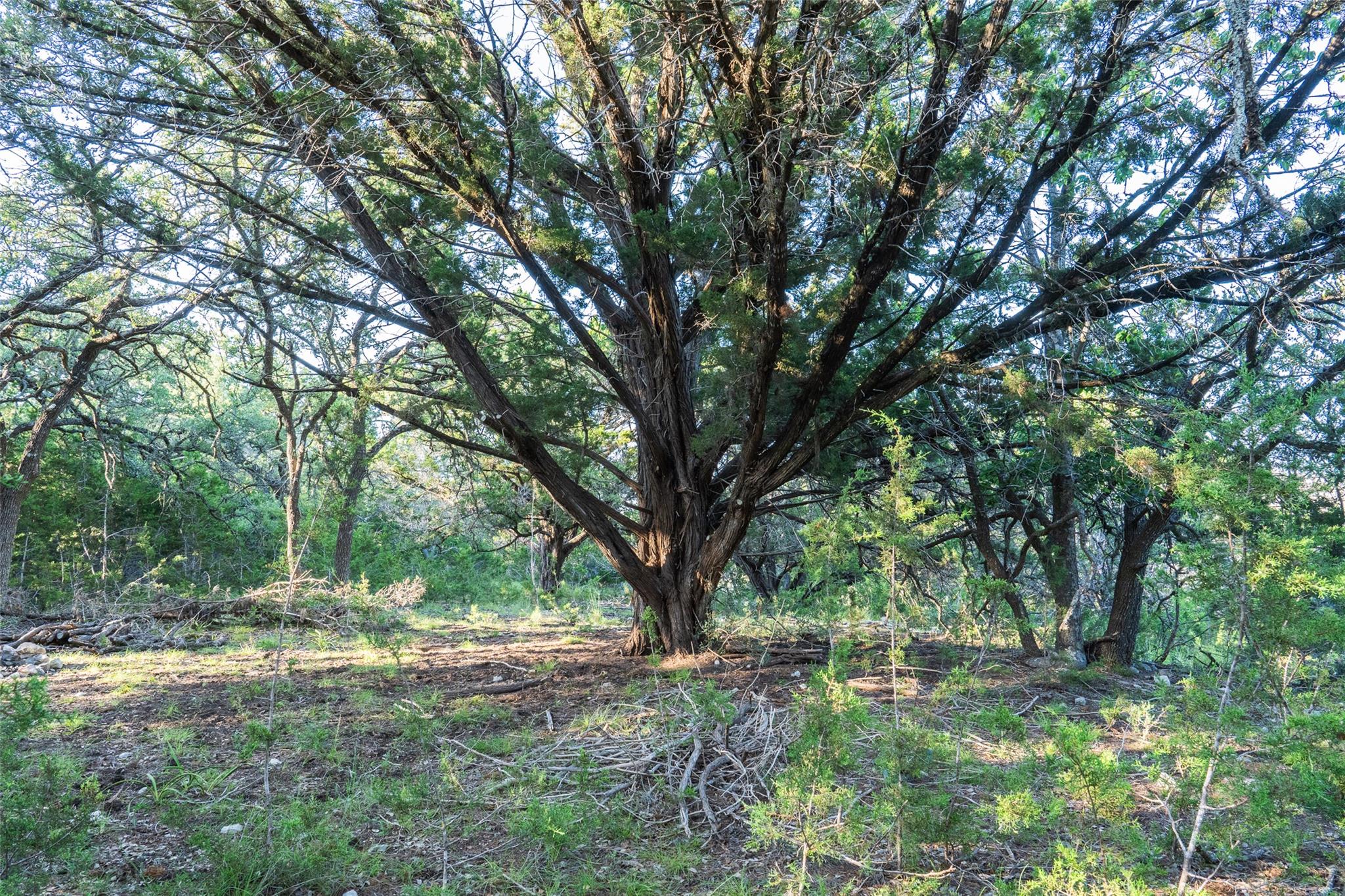 TBD Crabapple Rd, Blanco, TX 78606