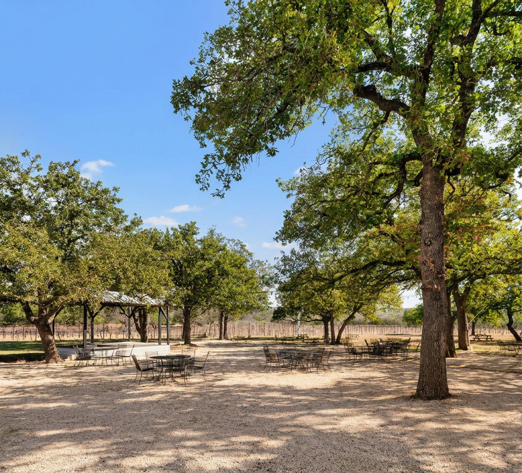 25711 Hamilton Pool Rd, Round Mountain, TX 78663