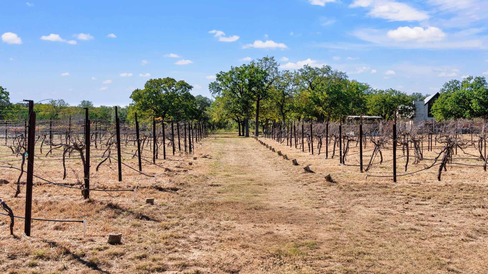 25711 Hamilton Pool Rd, Round Mountain, TX 78663