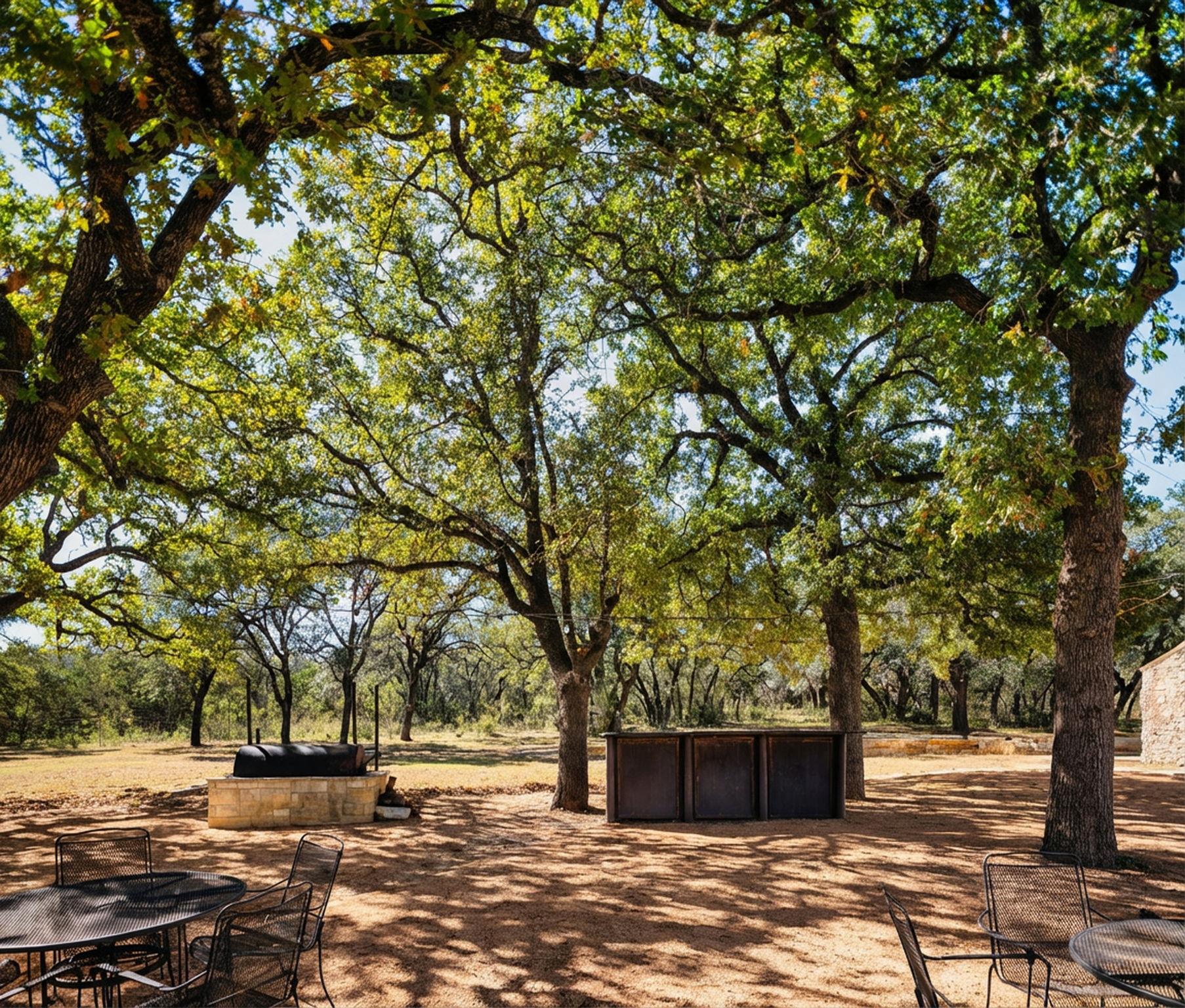 25711 Hamilton Pool Rd, Round Mountain, TX 78663