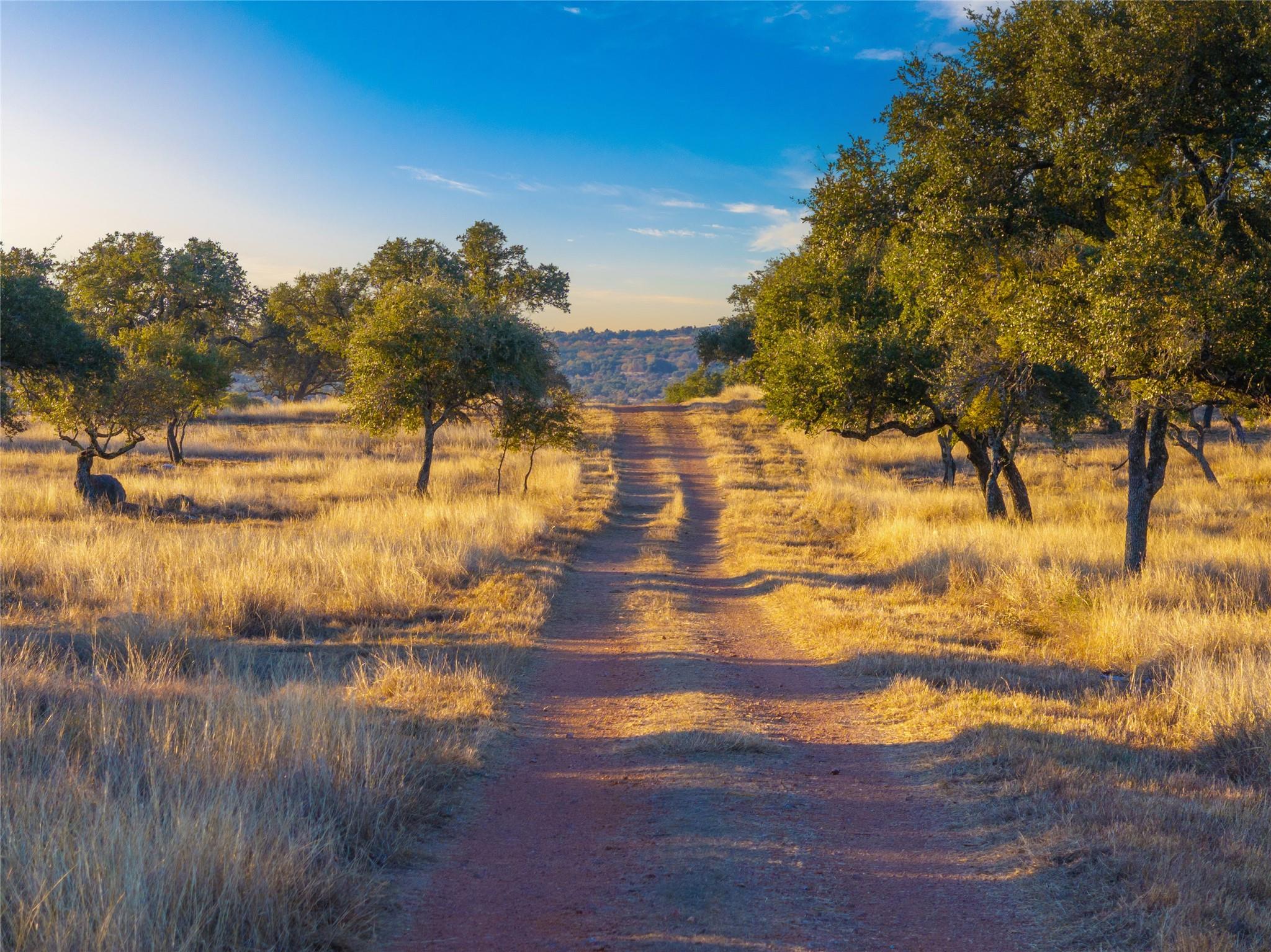 1547 Pressler Rd, Fredericksburg, TX 78624