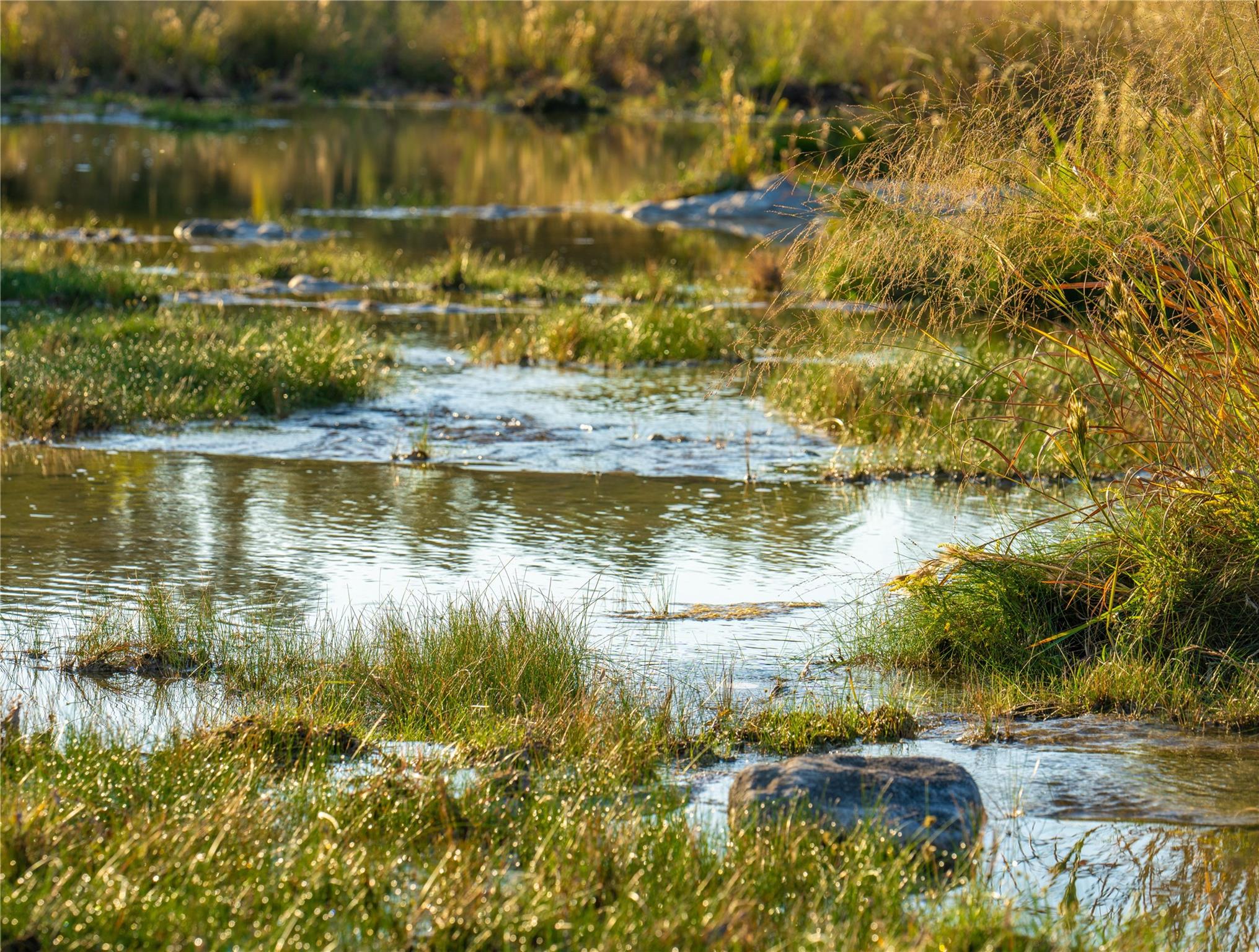 1547 Pressler Rd, Fredericksburg, TX 78624