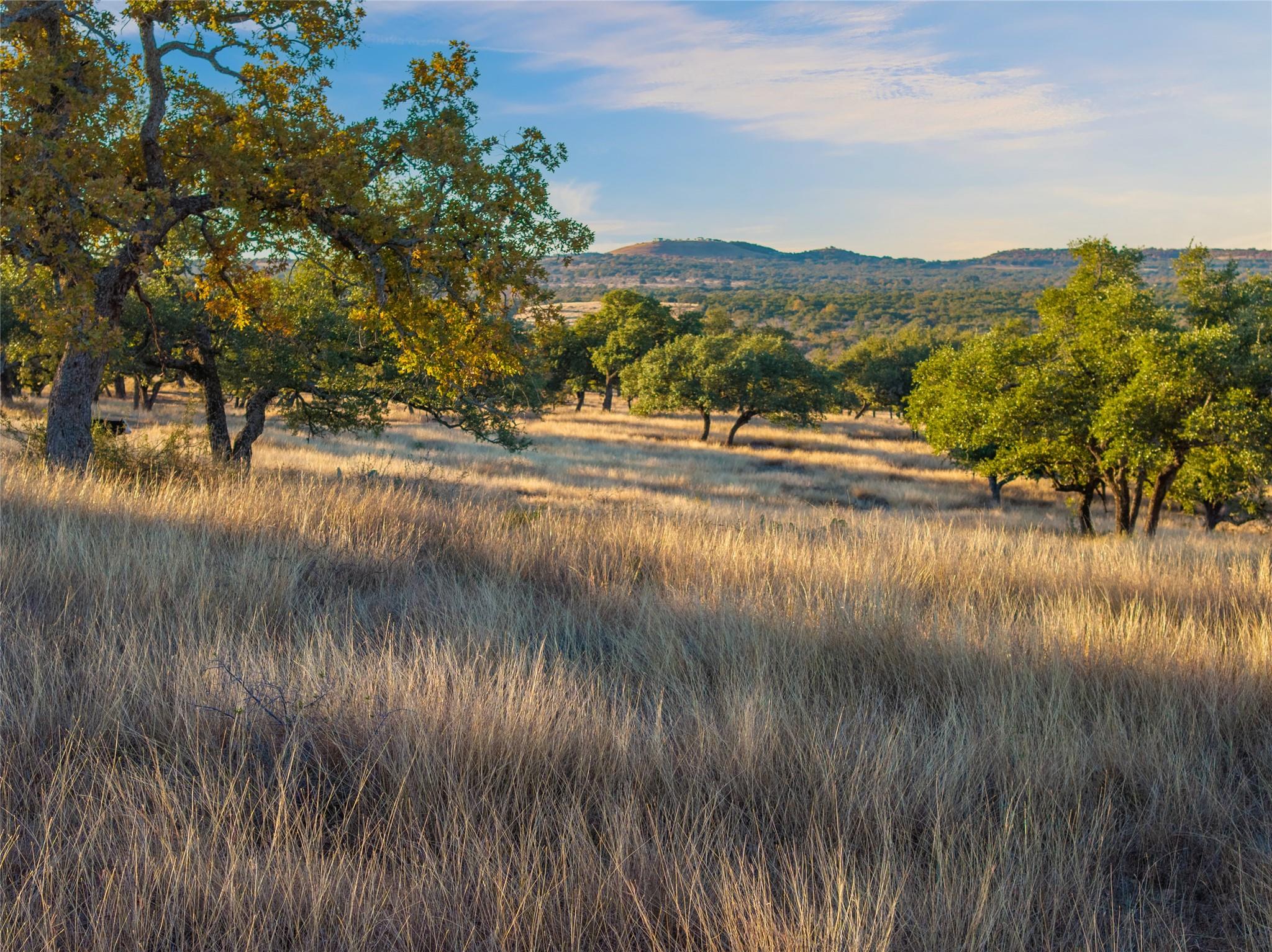 1547 Pressler Rd, Fredericksburg, TX 78624