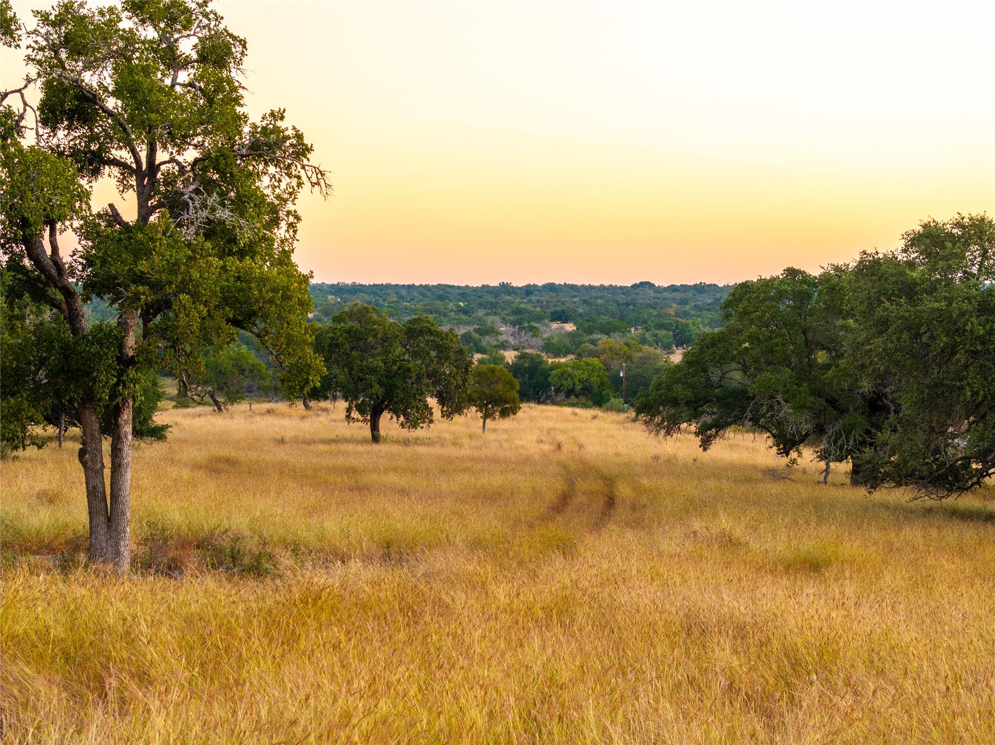 1547 Pressler Rd, Fredericksburg, TX 78624