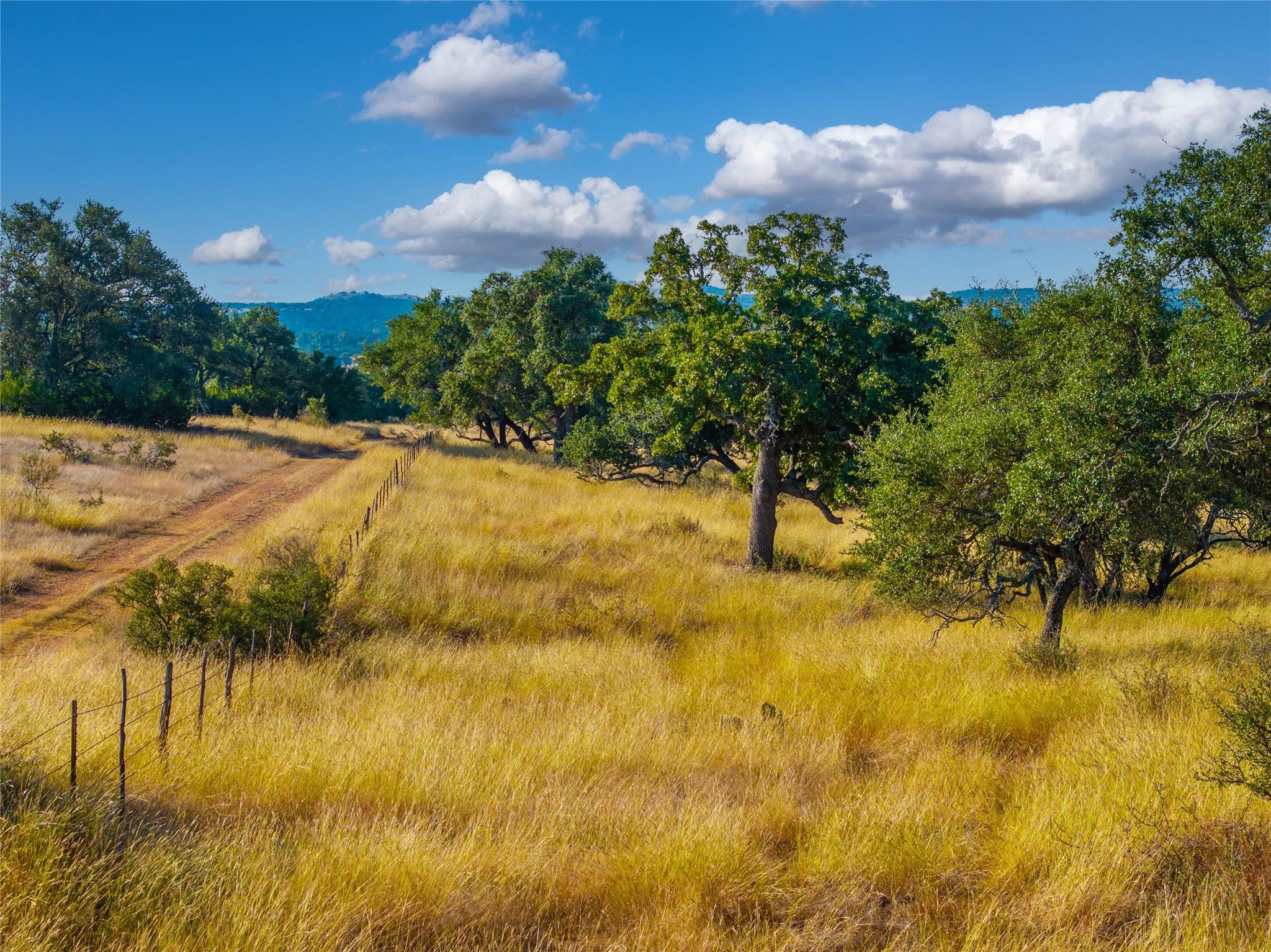 1547 Pressler Rd, Fredericksburg, TX 78624