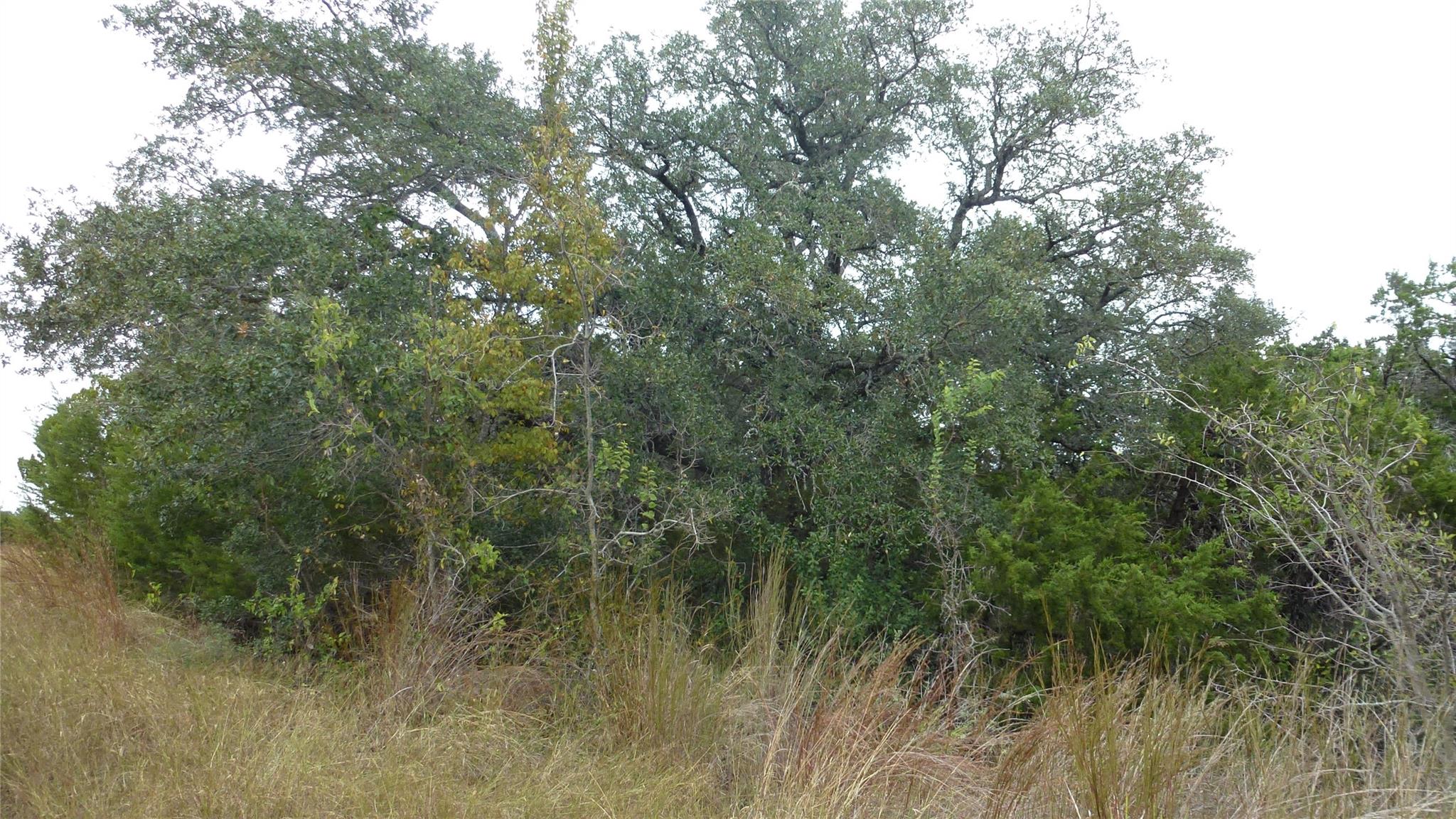 20815 Rawhide Trl, Lago Vista, TX 78645