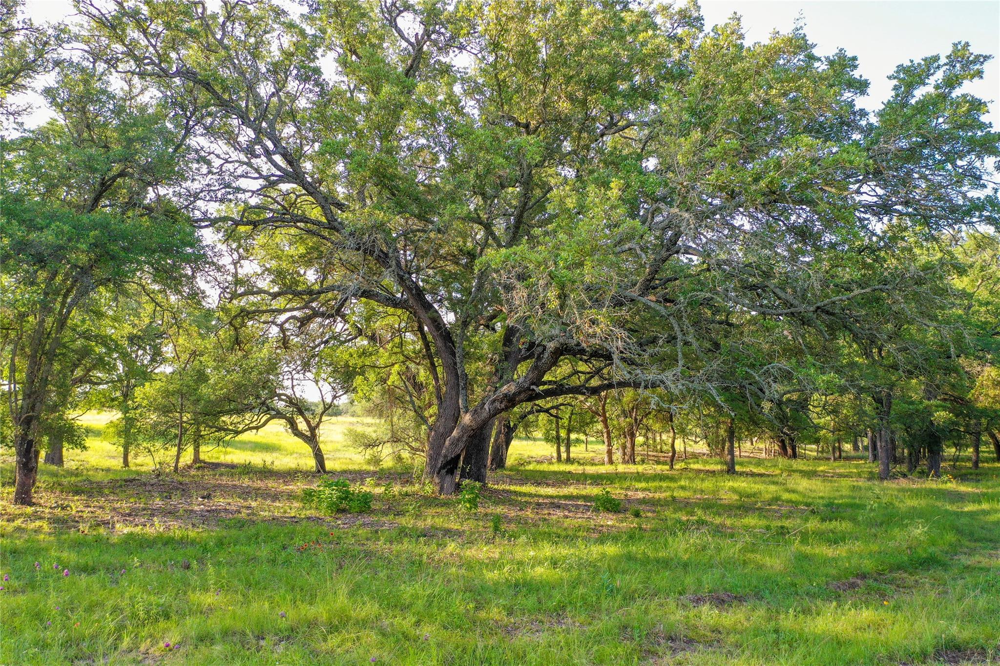 000 US190 Highway, Lometa, TX 76853