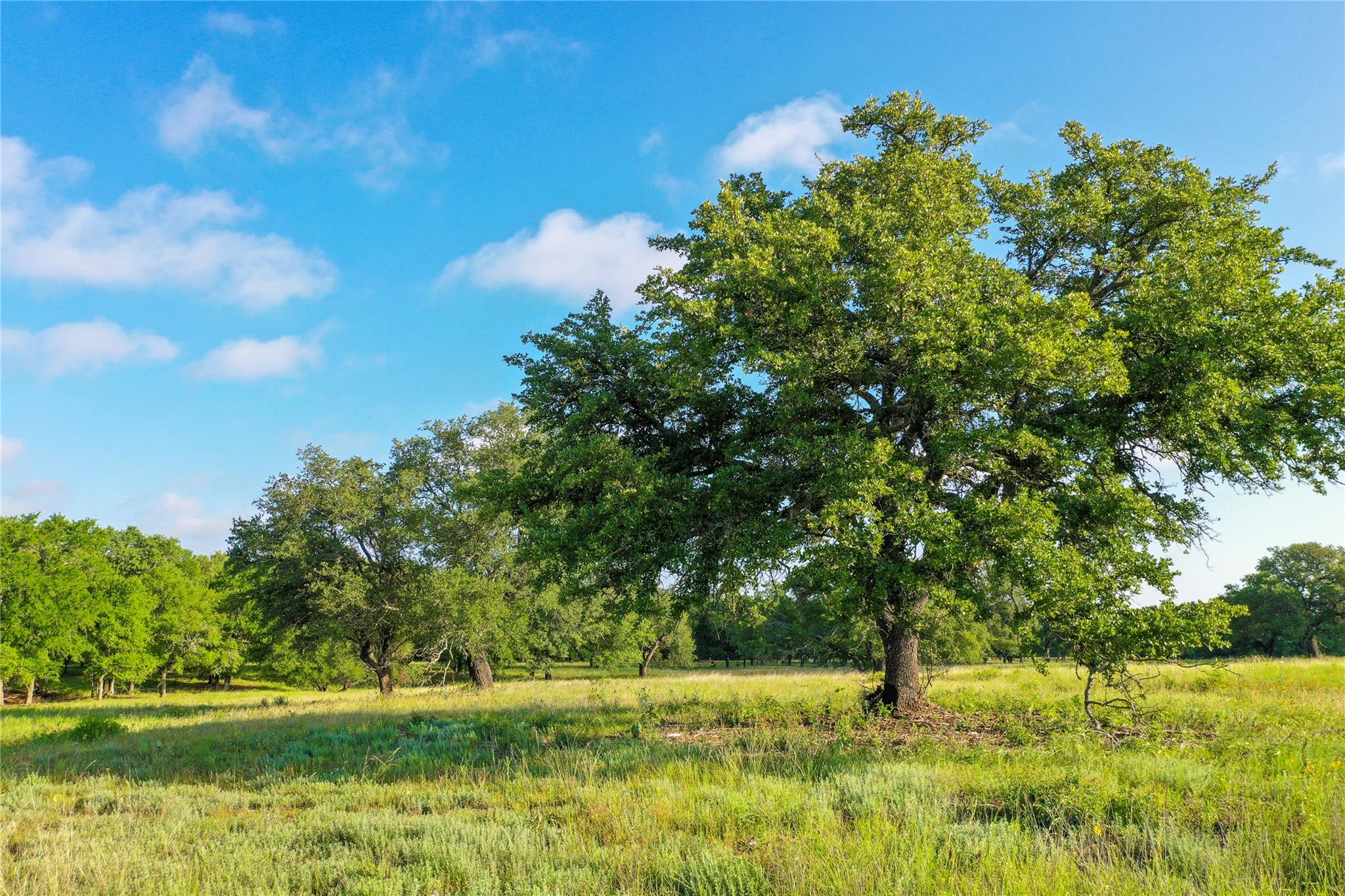 000 US190 Highway, Lometa, TX 76853