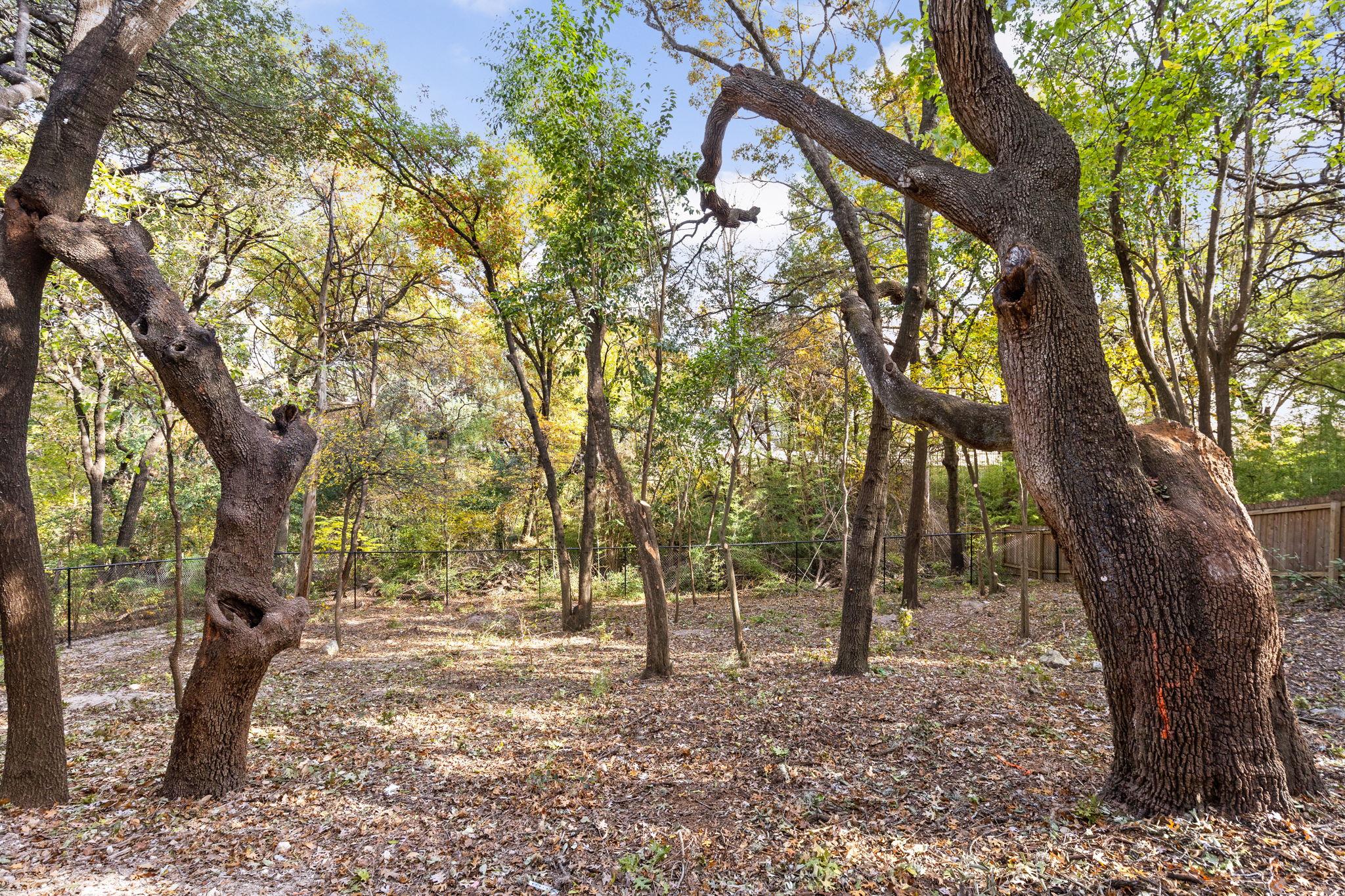 1603 Chelsea Ln # 3, Austin, TX 78704