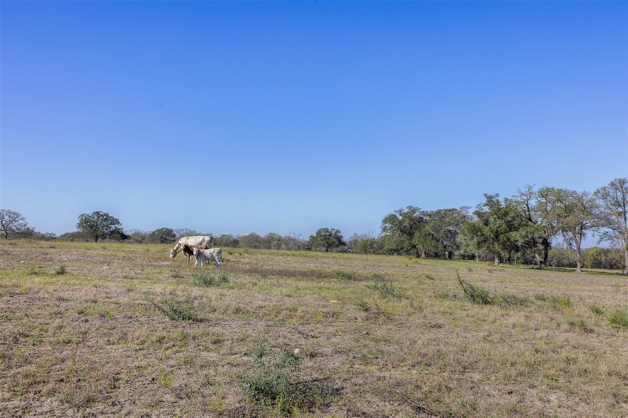 Tract D Fm 795, Gonzales, TX 78629