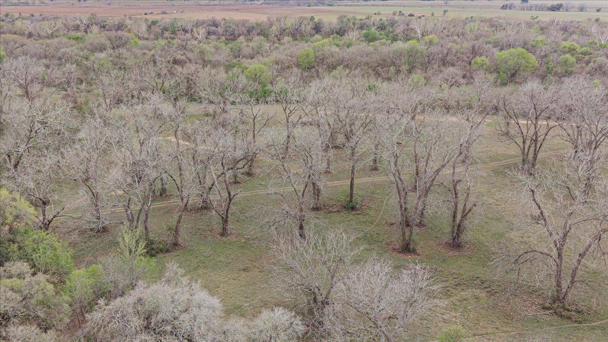 TBD TBD, Smithville, TX 78957