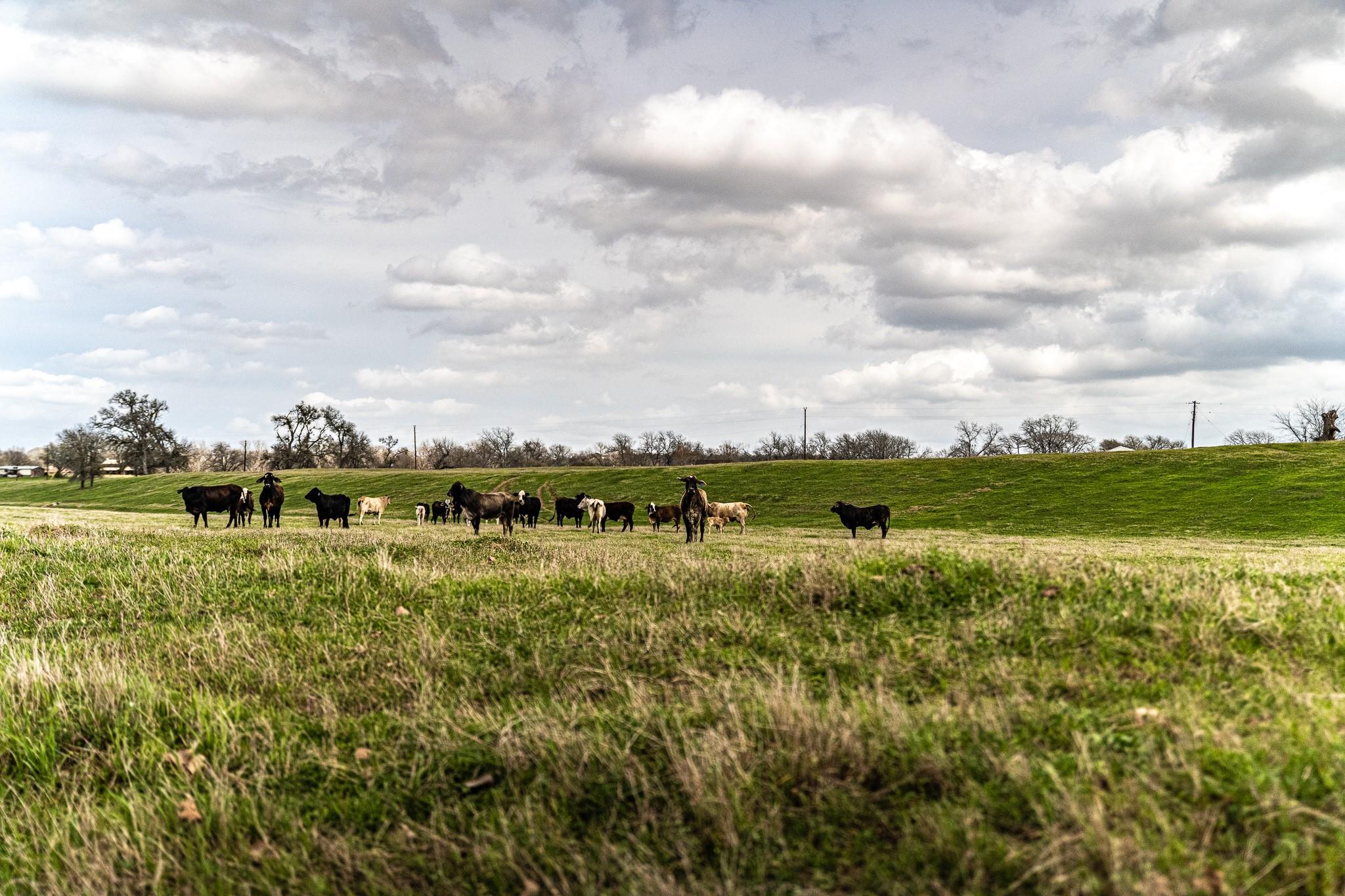 121 Mechelle St, Smithville, TX 78957