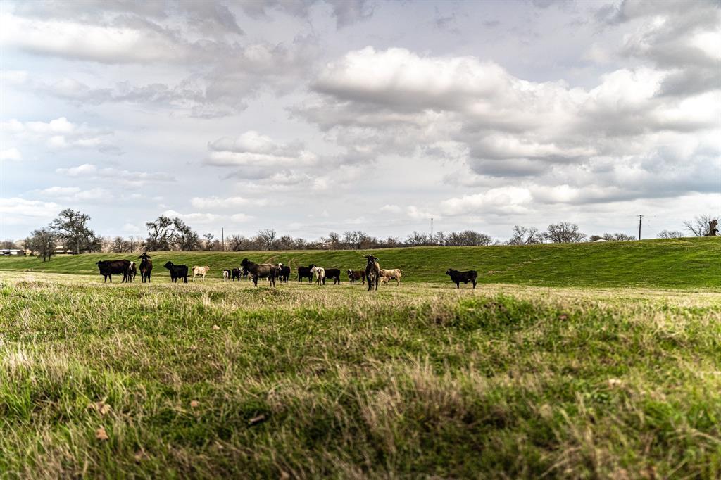 121 Mechelle St, Smithville, TX 78957