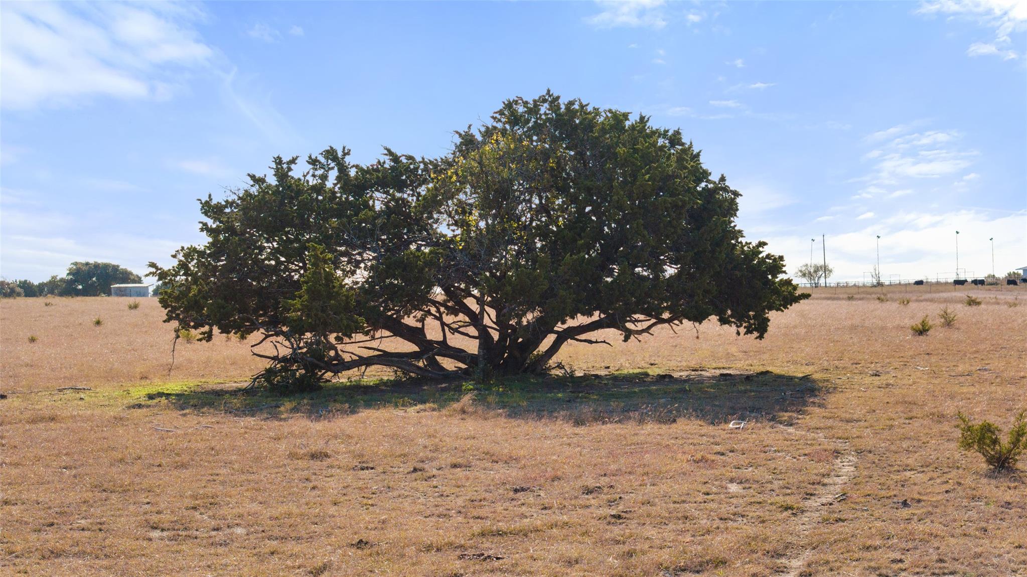 2501 County Road 224, Florence, TX 76527