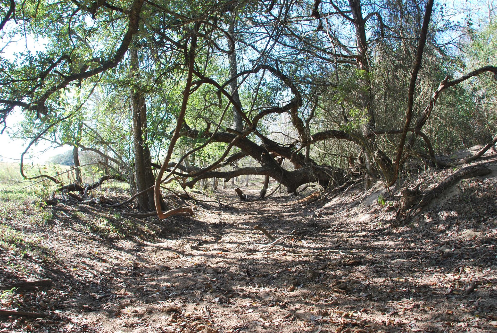 TBD FM 532, Hallettsville, TX 77964