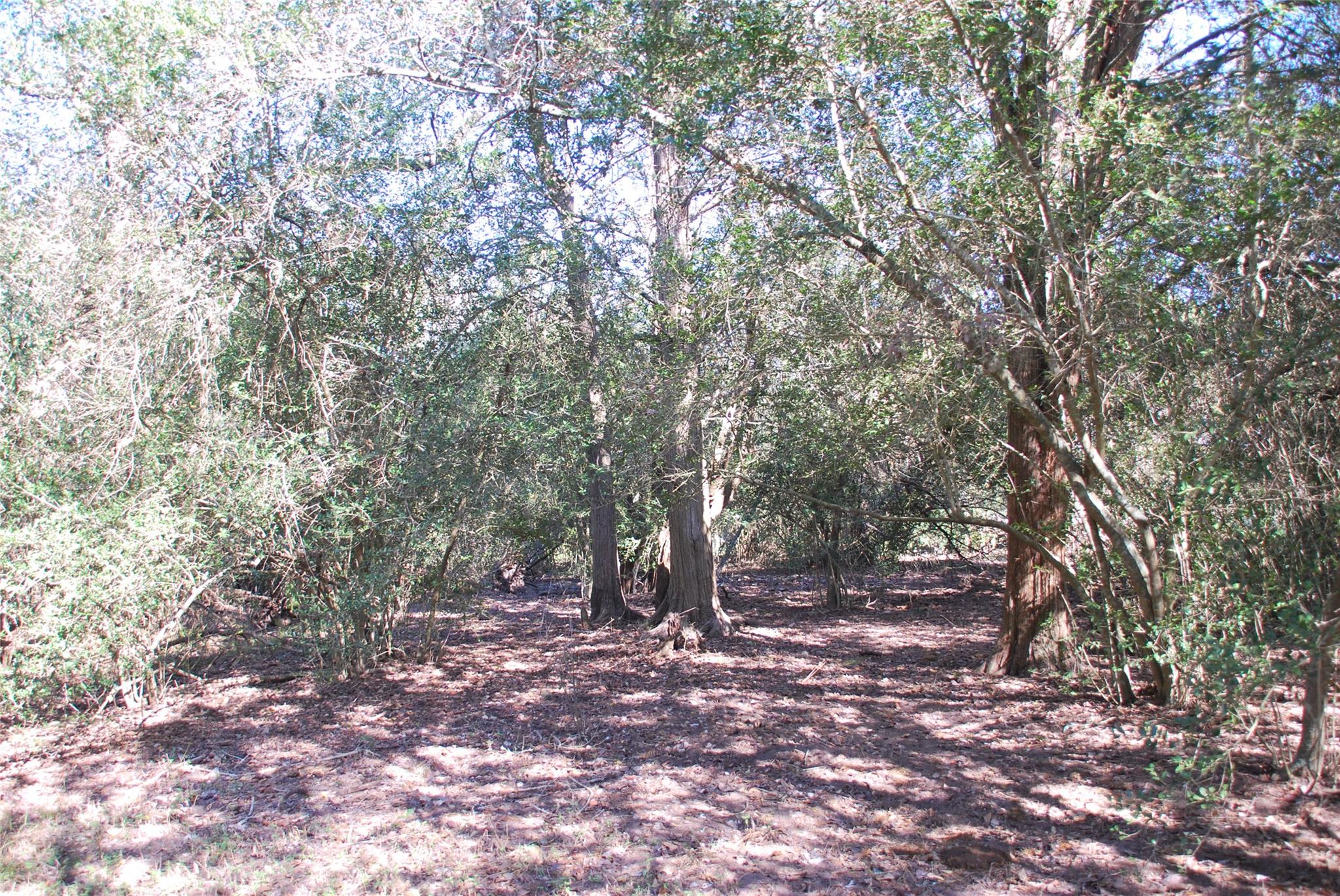 TBD FM 532, Hallettsville, TX 77964