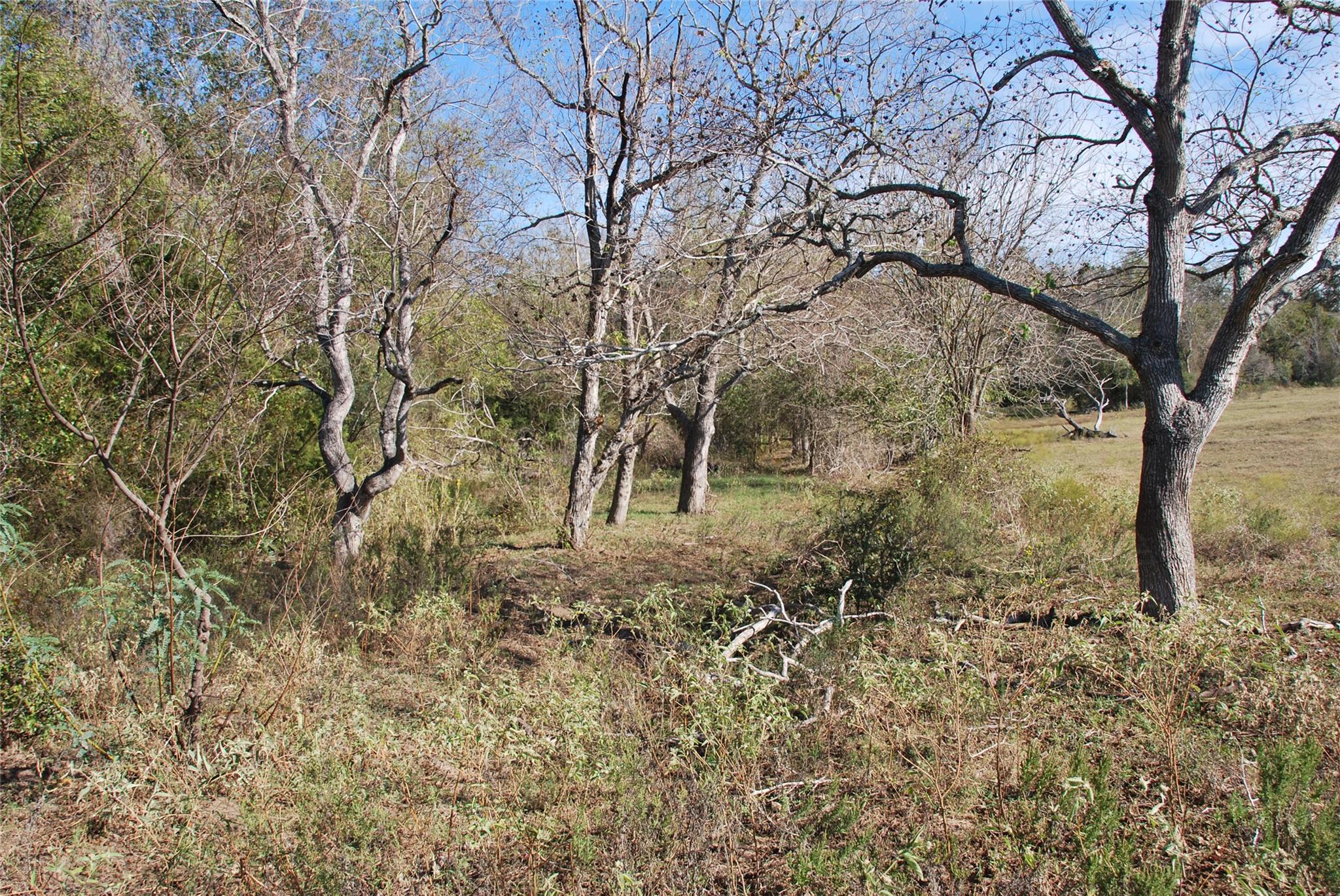 TBD FM 532, Hallettsville, TX 77964