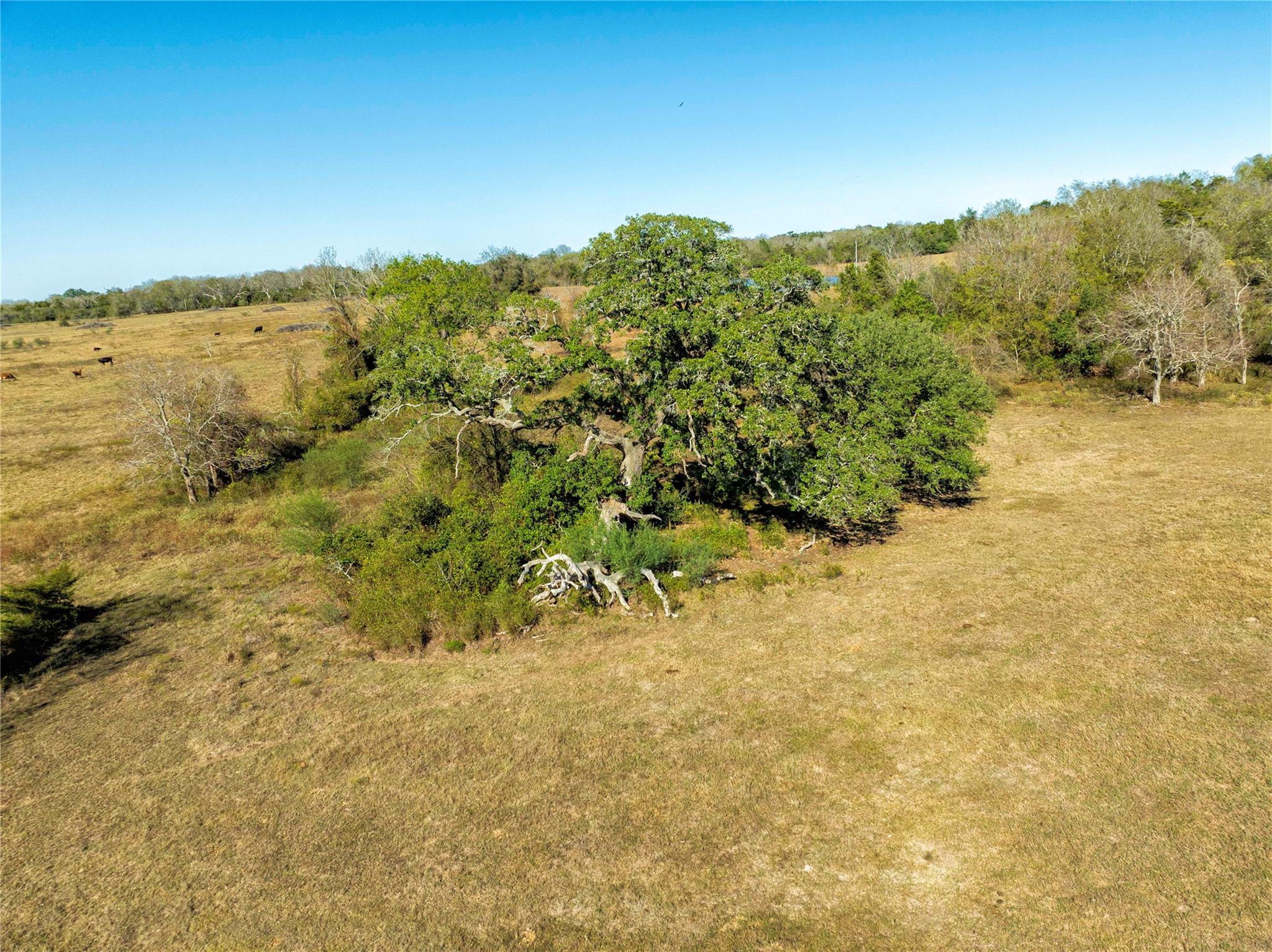 TBD FM 532, Hallettsville, TX 77964