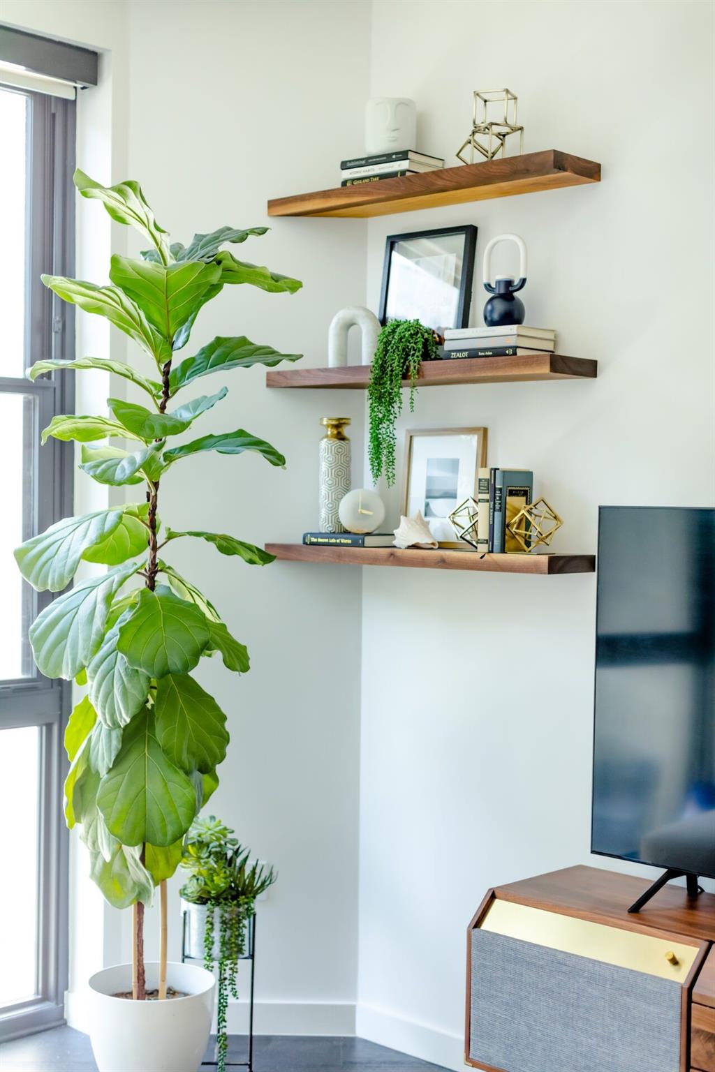 800 Embassy Dr # 411, Austin, TX 78702