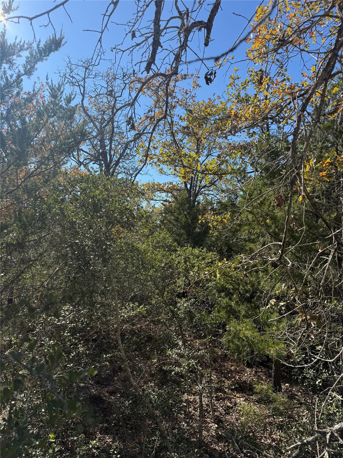 TBD Leisure Ln, Cedar Creek, TX 78612