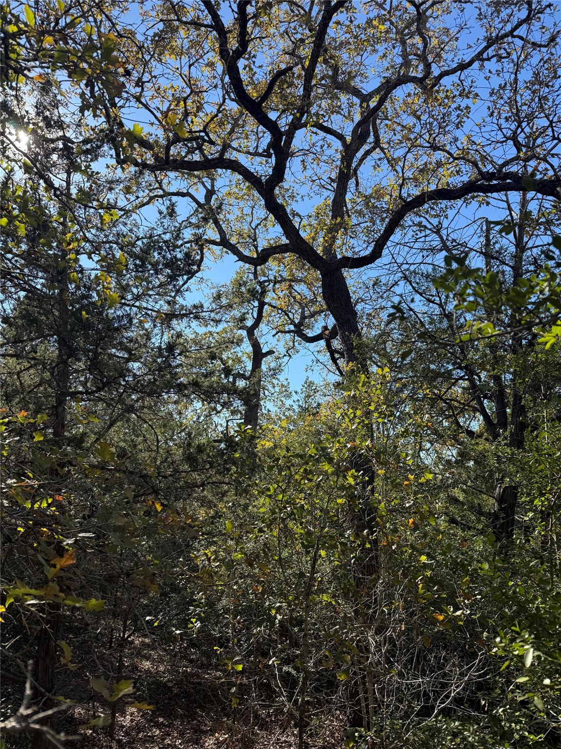 TBD Leisure Ln, Cedar Creek, TX 78612