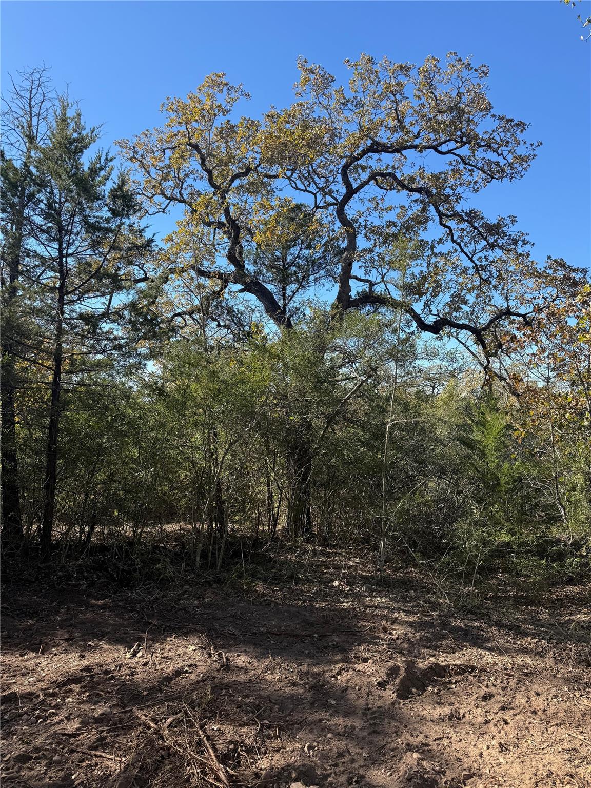 TBD Leisure Ln, Cedar Creek, TX 78612