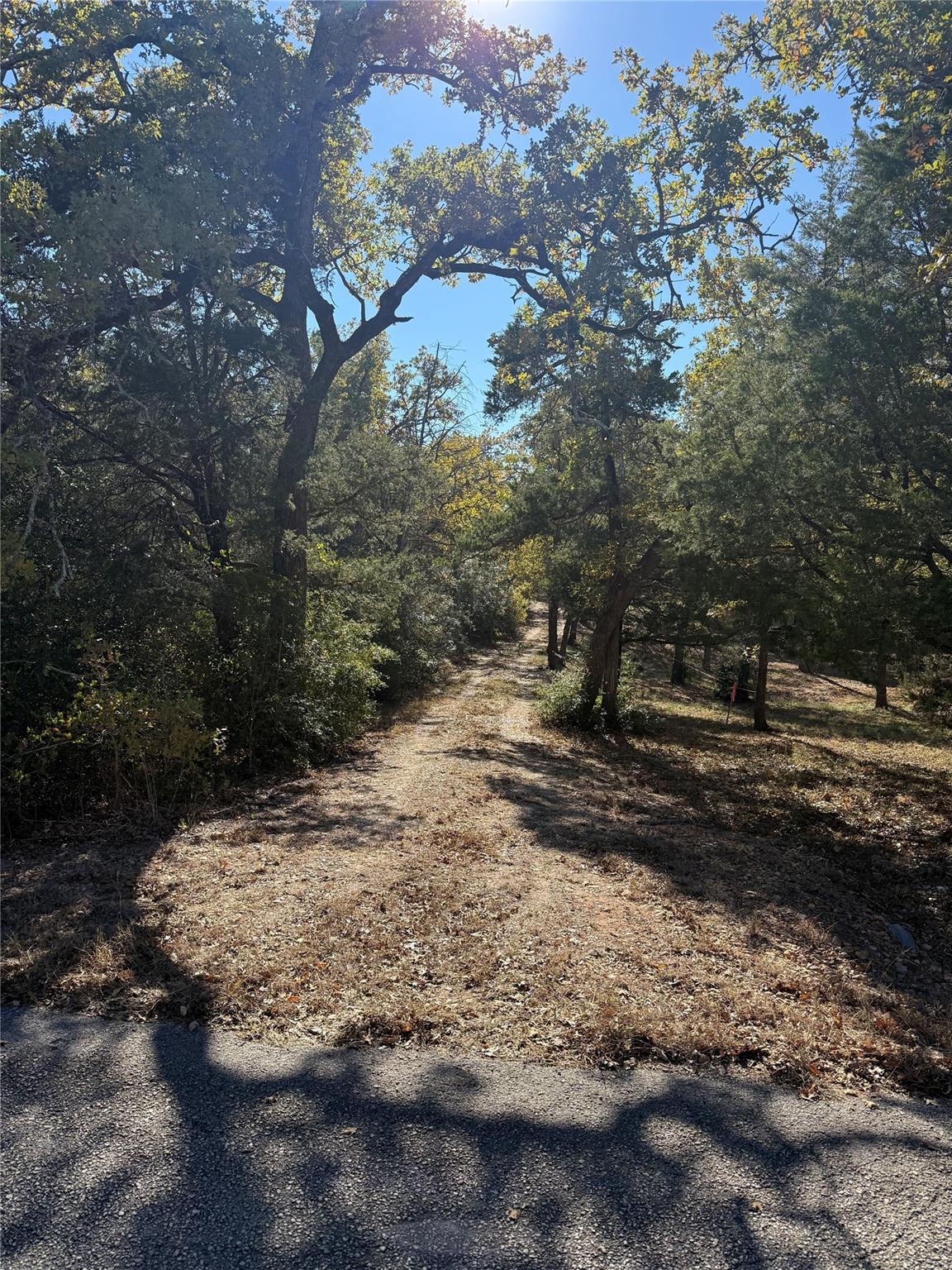 TBD Leisure Ln, Cedar Creek, TX 78612