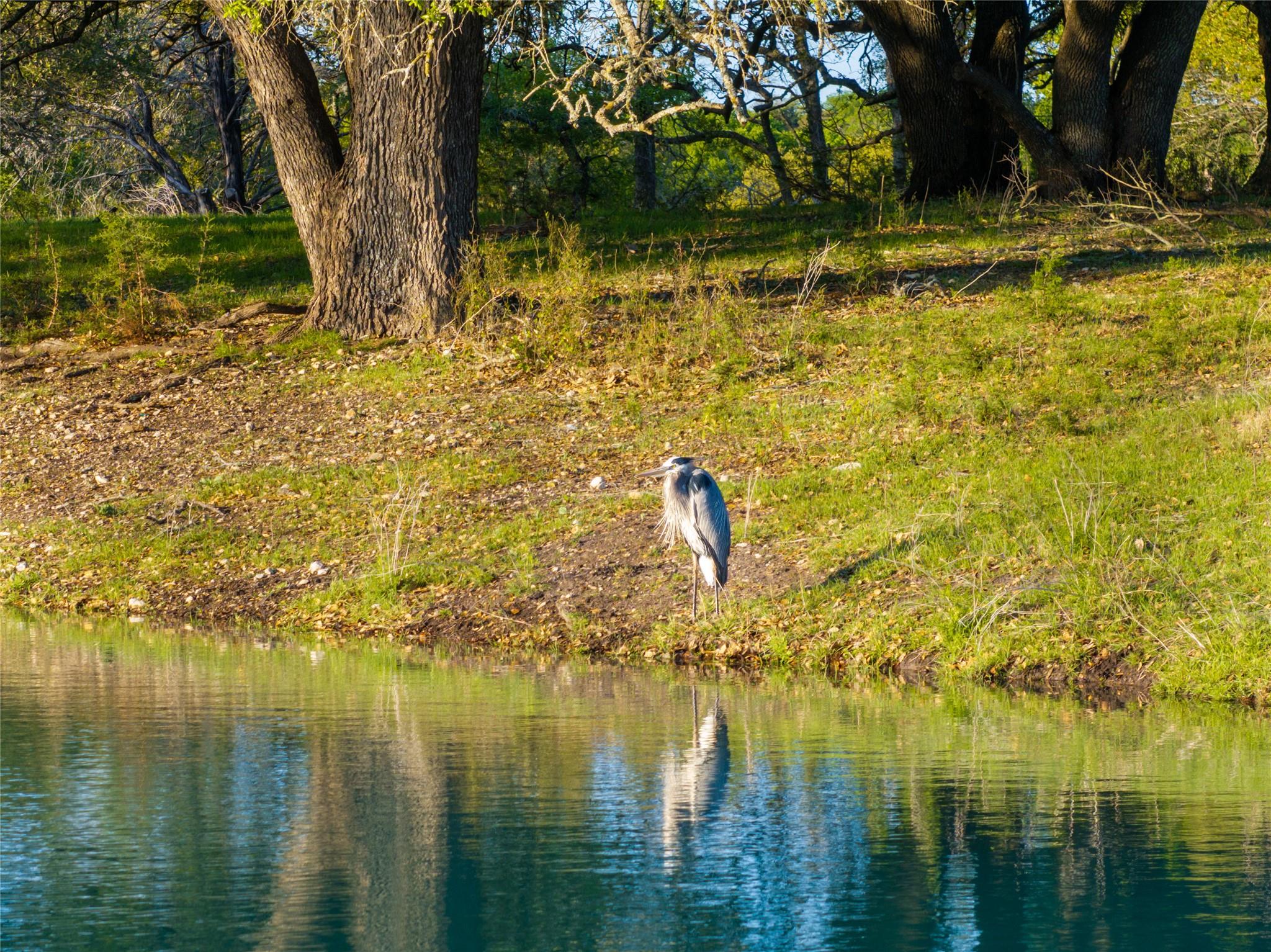 5525 FM2340 Rd, Burnet, TX 78611