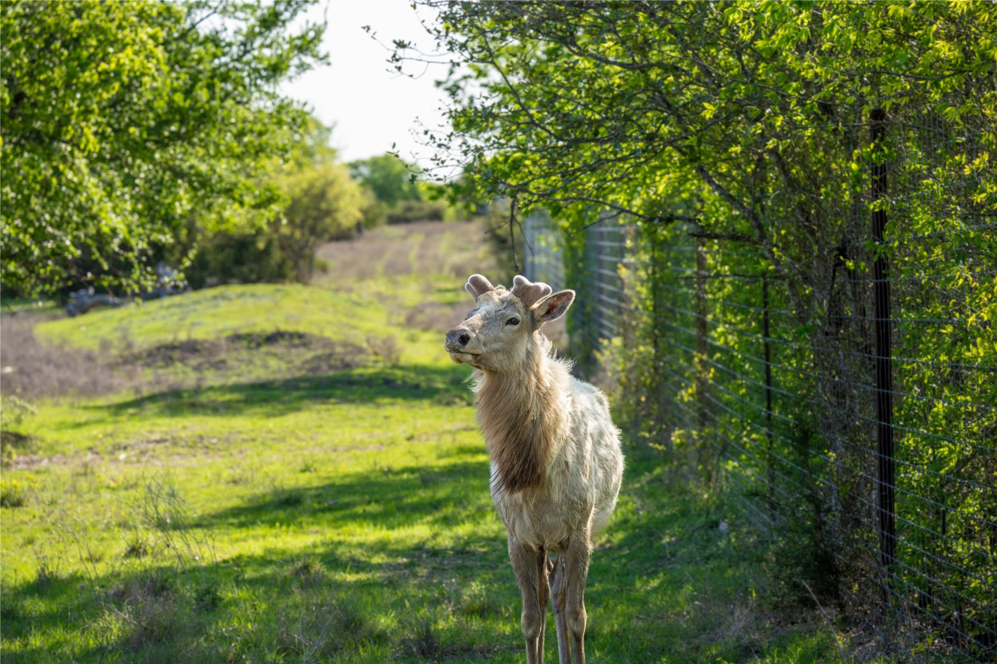 5525 FM2340 Rd, Burnet, TX 78611