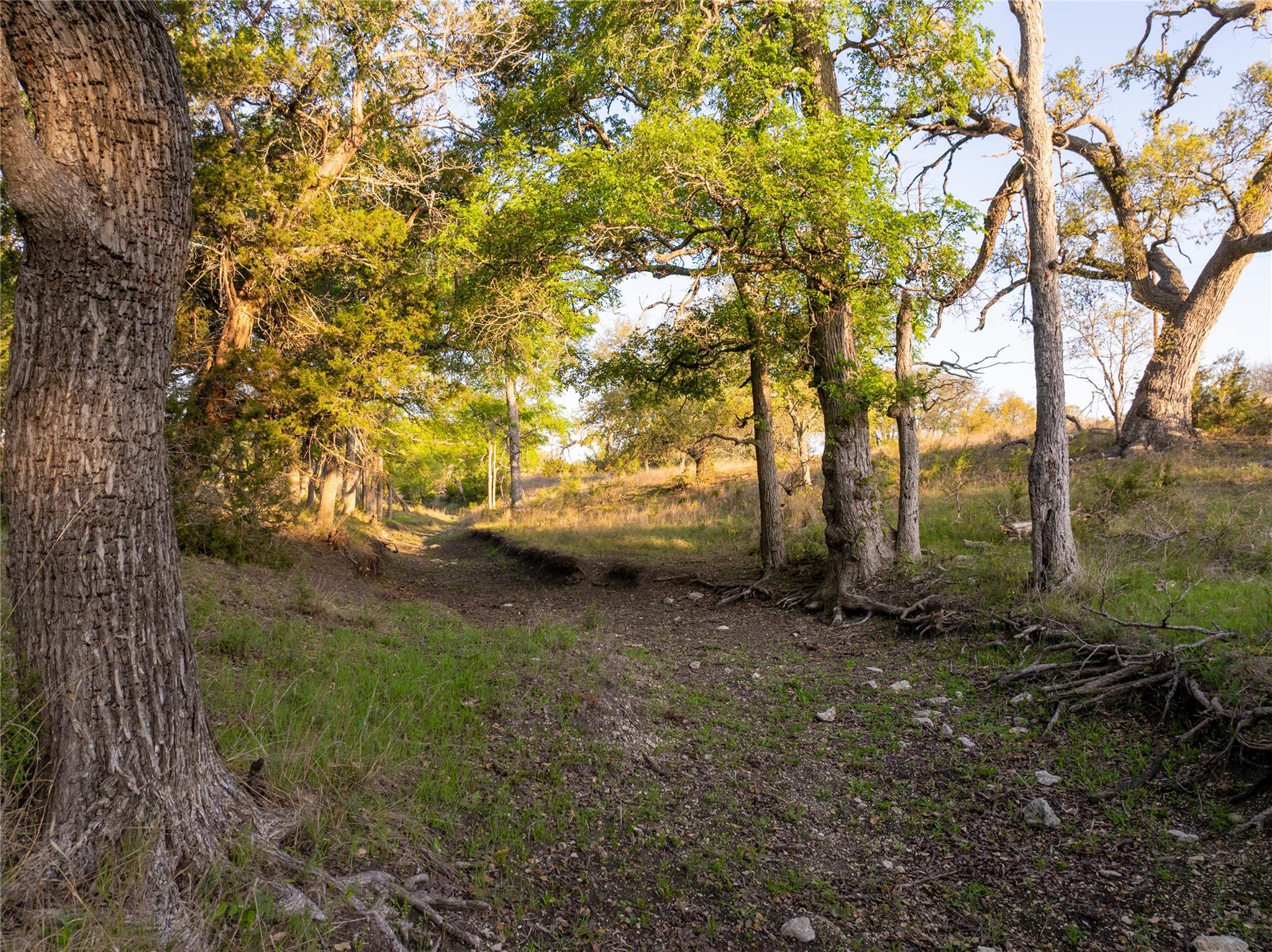 5525 FM2340 Rd, Burnet, TX 78611