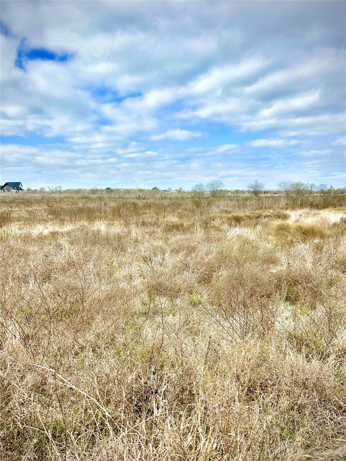 TBD TX 36, Rogers, TX 76569