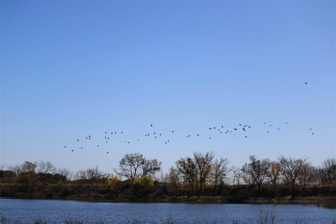 1684 County Road 2234, Lampasas, TX 76550