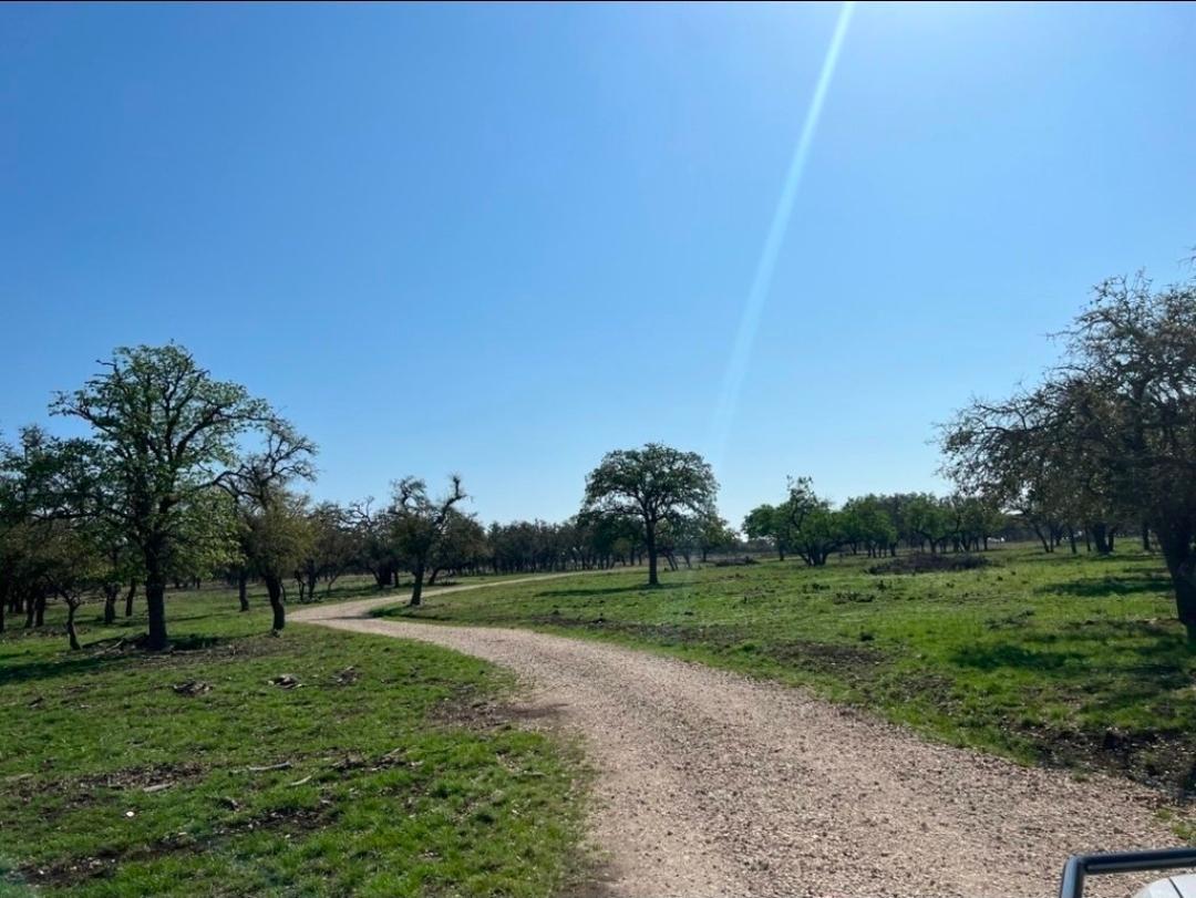 TBD CROOKED TREE Cir, Harper, TX 78631