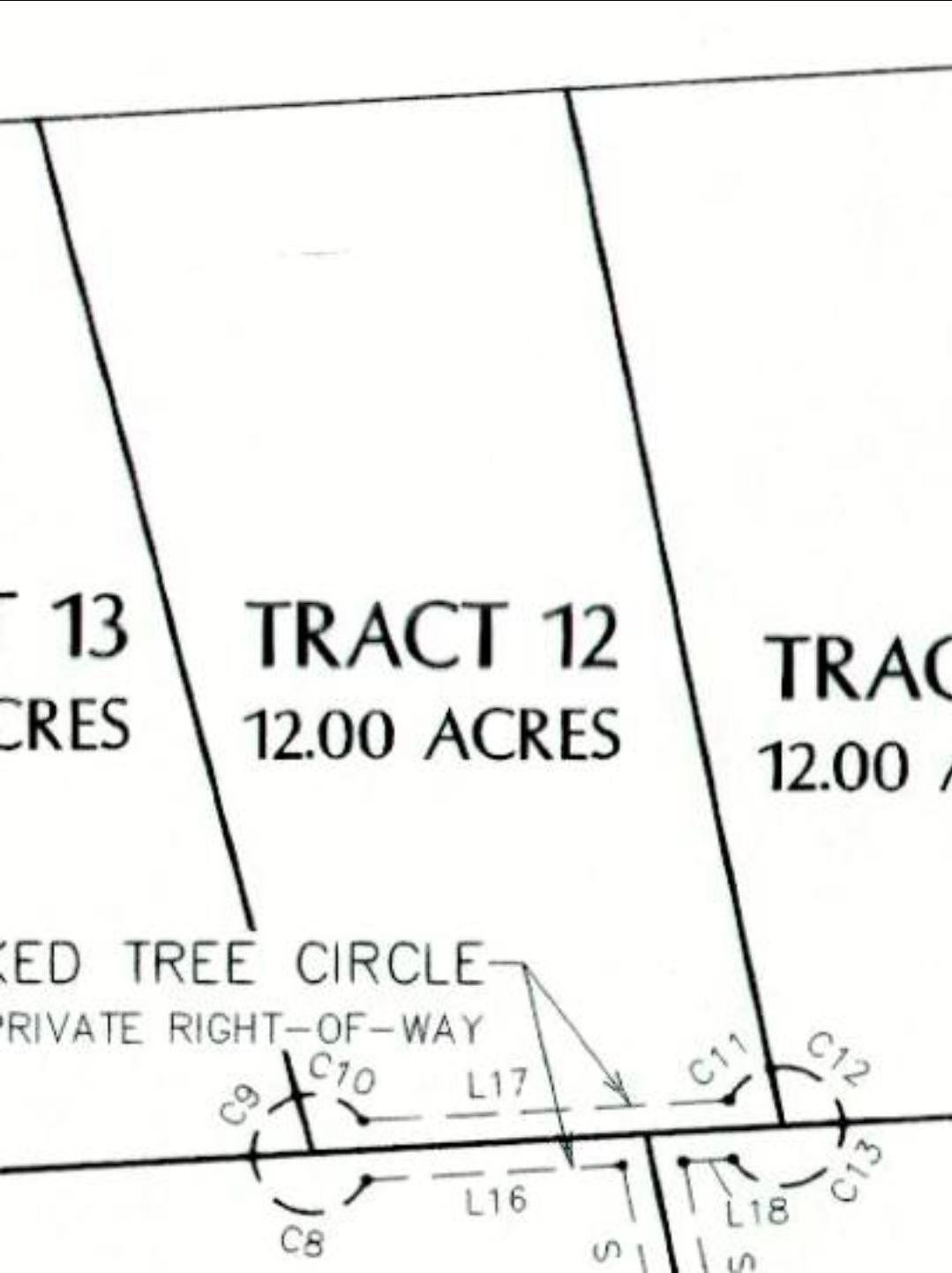 TBD CROOKED TREE Cir, Harper, TX 78631