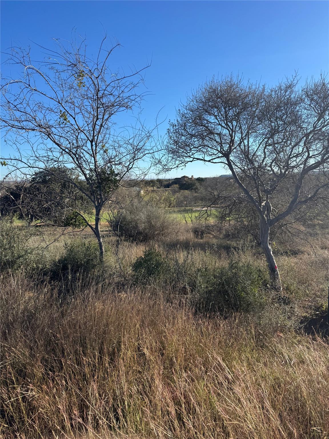 315 Red Wine, Horseshoe Bay, TX 78657