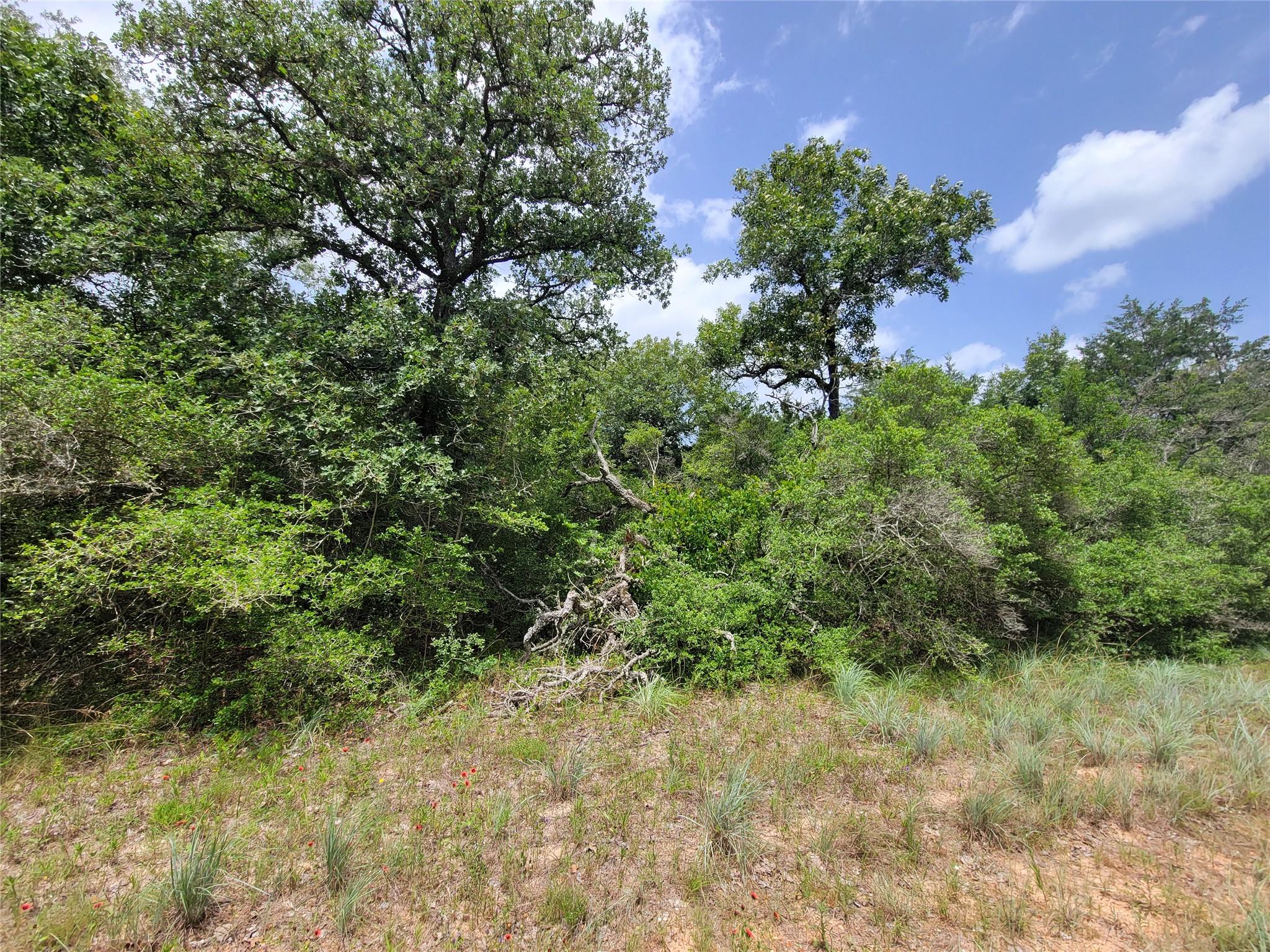 TBD Cheyenne, Hilltop Lakes, TX 77871