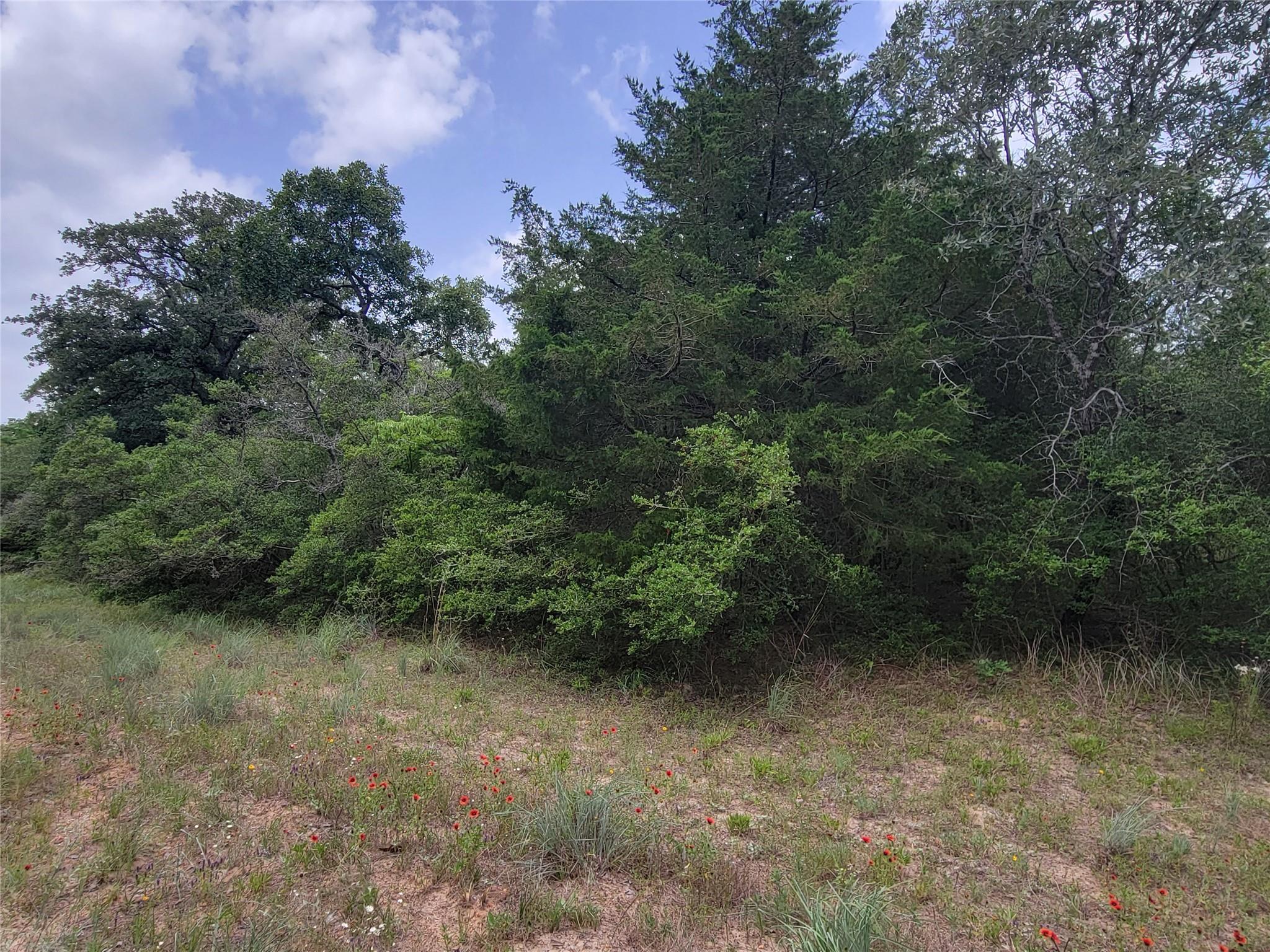 TBD Cheyenne, Hilltop Lakes, TX 77871