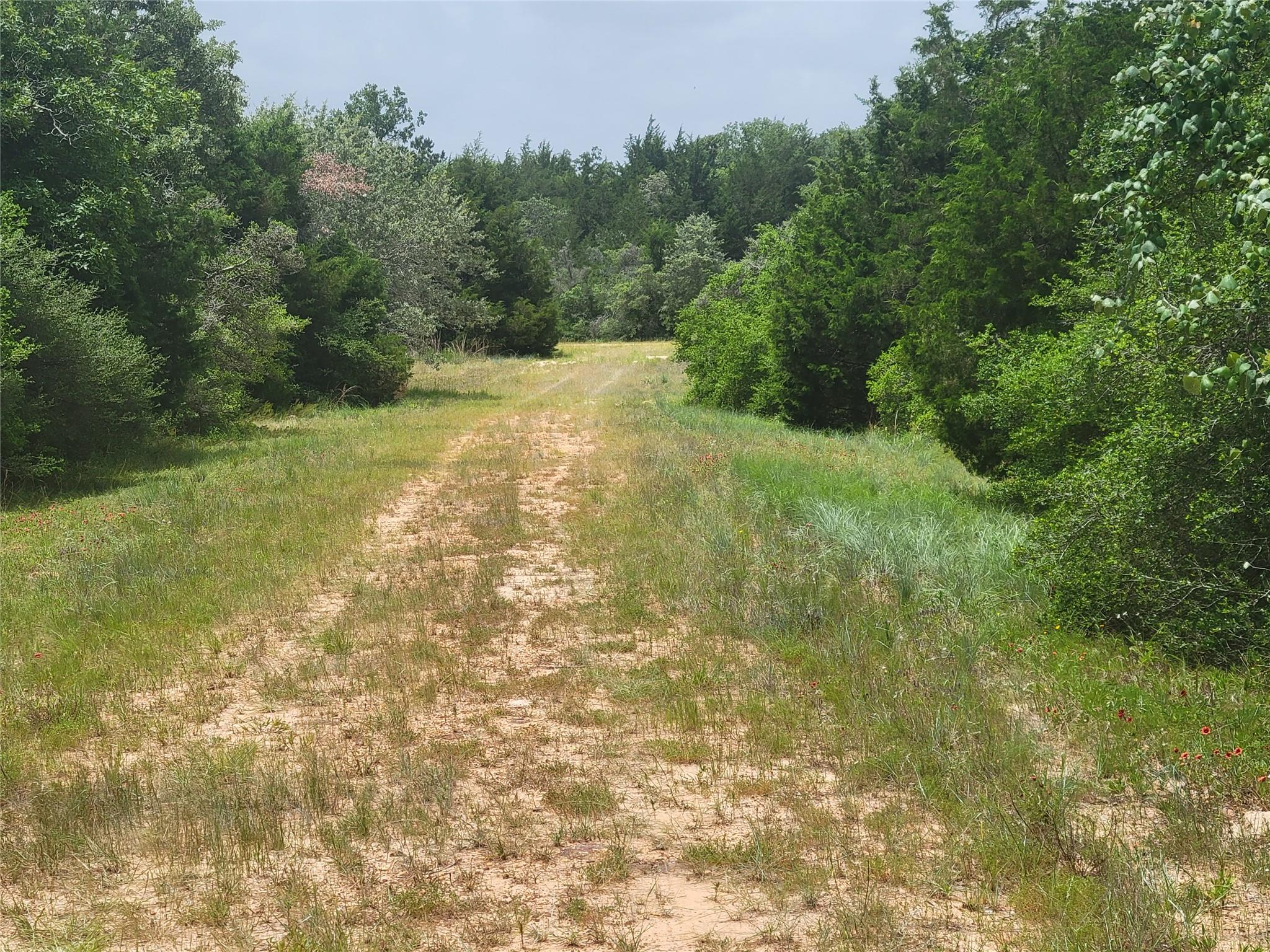 TBD Cheyenne, Hilltop Lakes, TX 77871