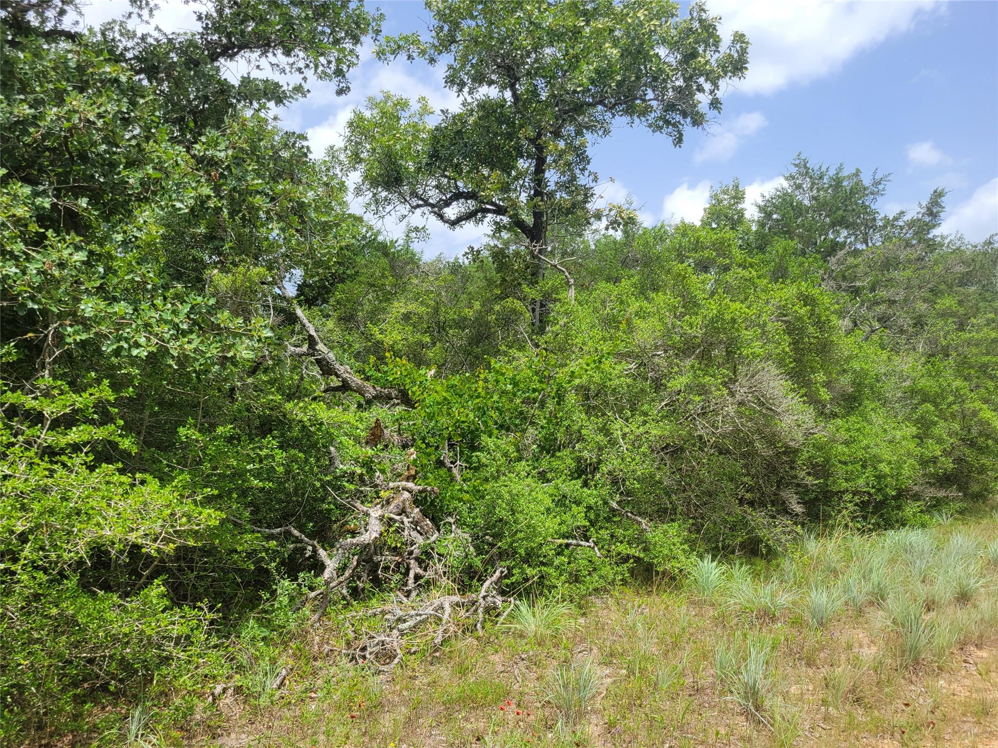 TBD Cheyenne, Hilltop Lakes, TX 77871