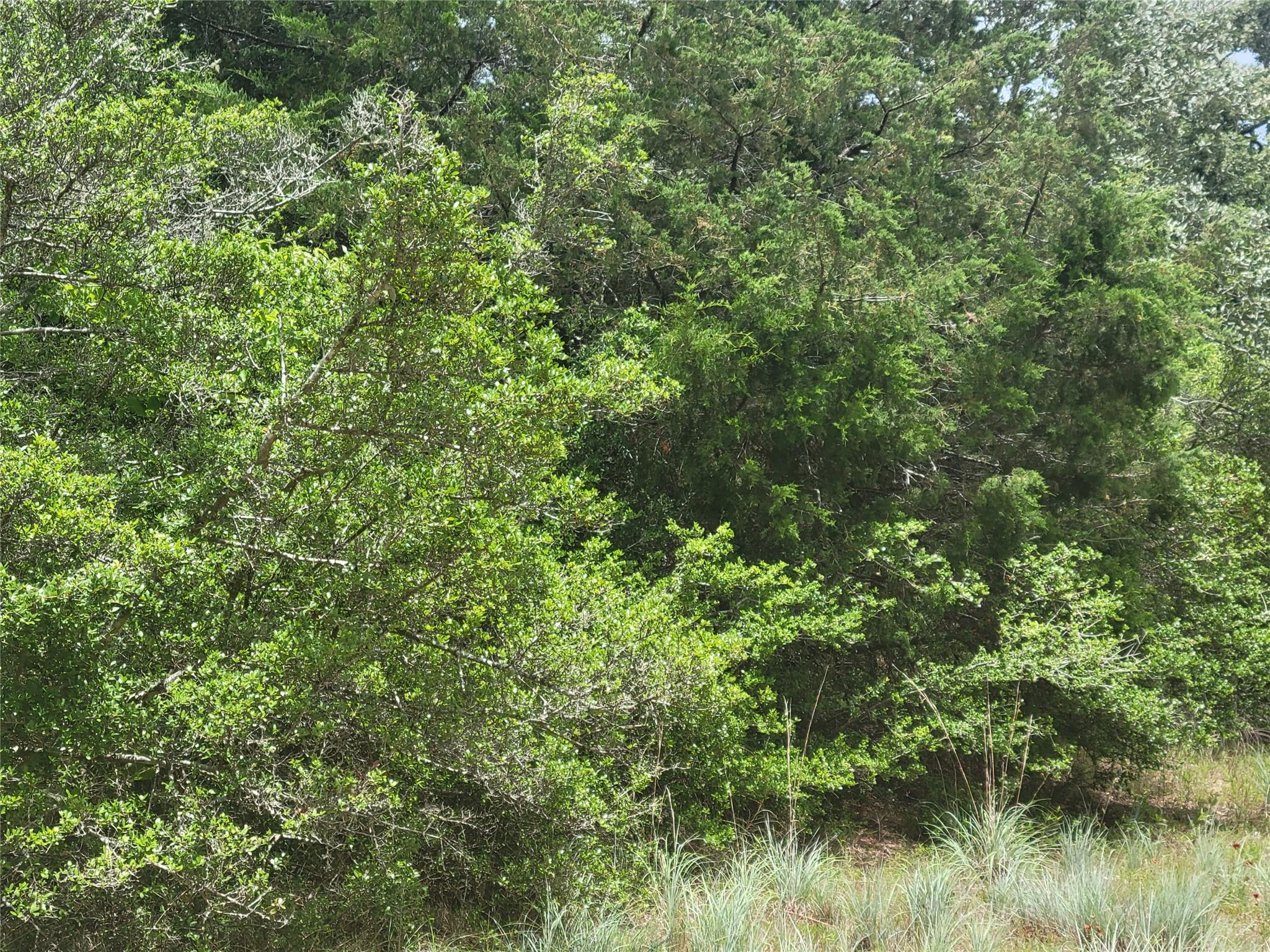 TBD Cheyenne, Hilltop Lakes, TX 77871