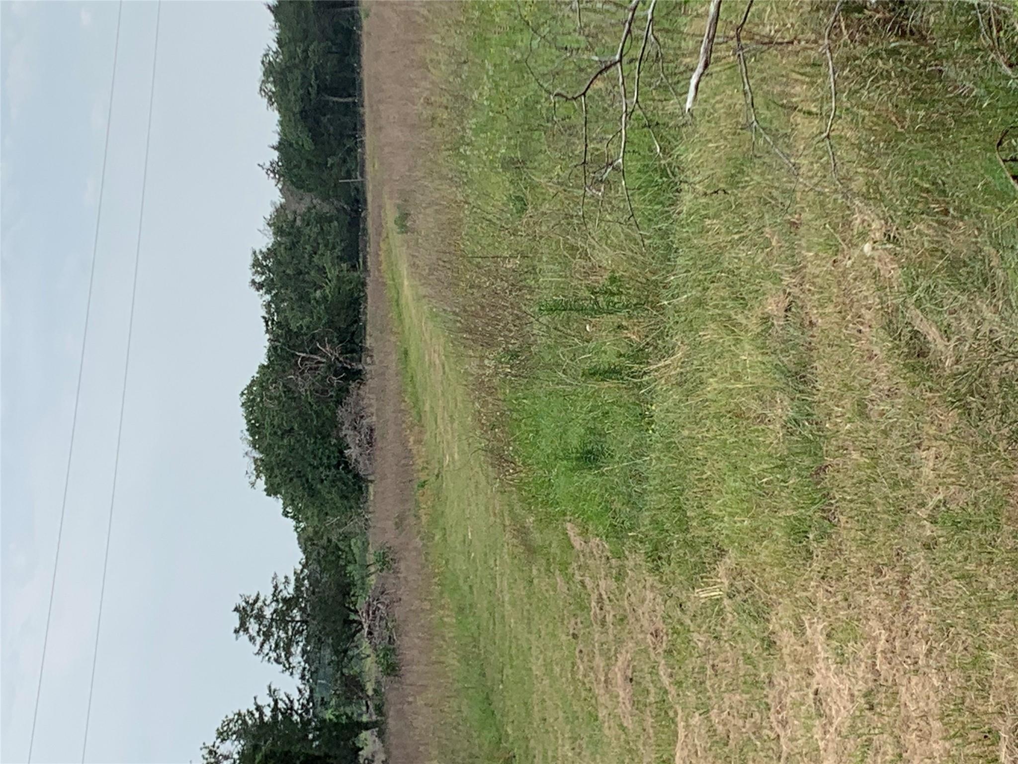 276 Ott Rd, Rosanky, TX 78953