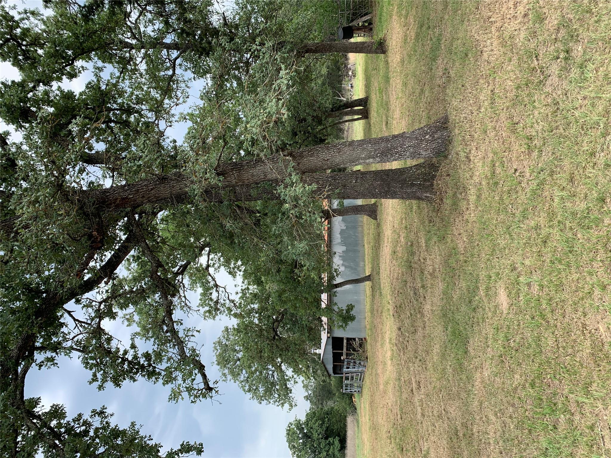 276 Ott Rd, Rosanky, TX 78953