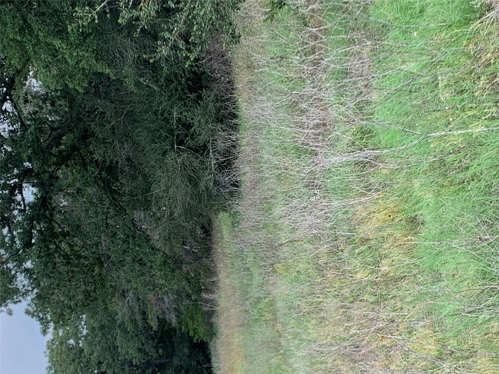 276 Ott Rd, Rosanky, TX 78953