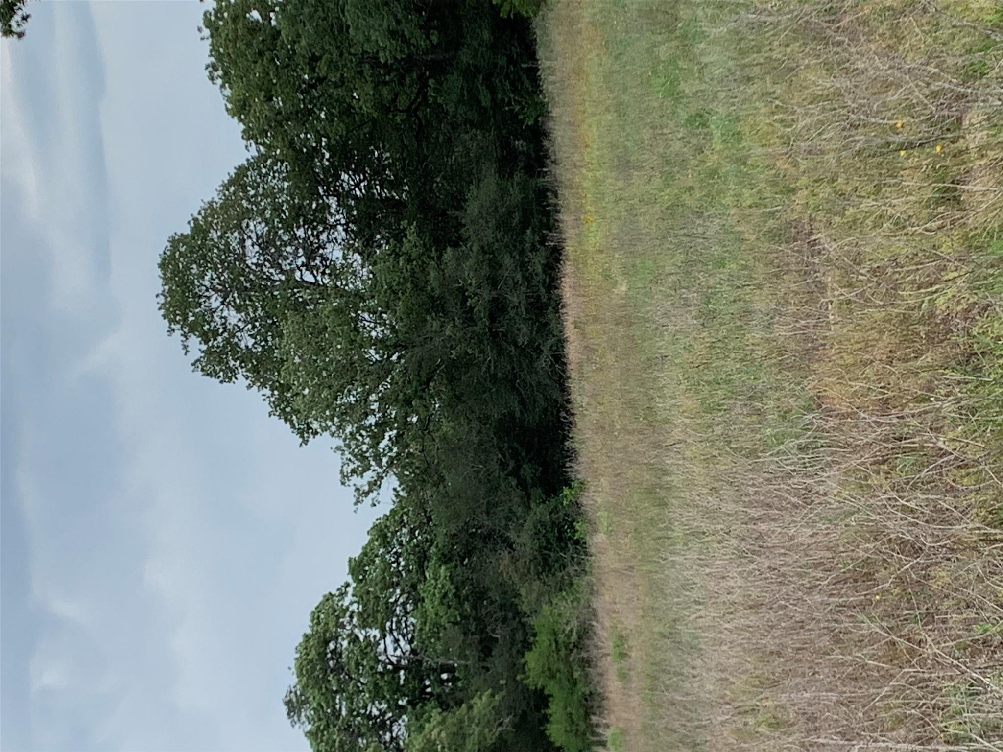 276 Ott Rd, Rosanky, TX 78953