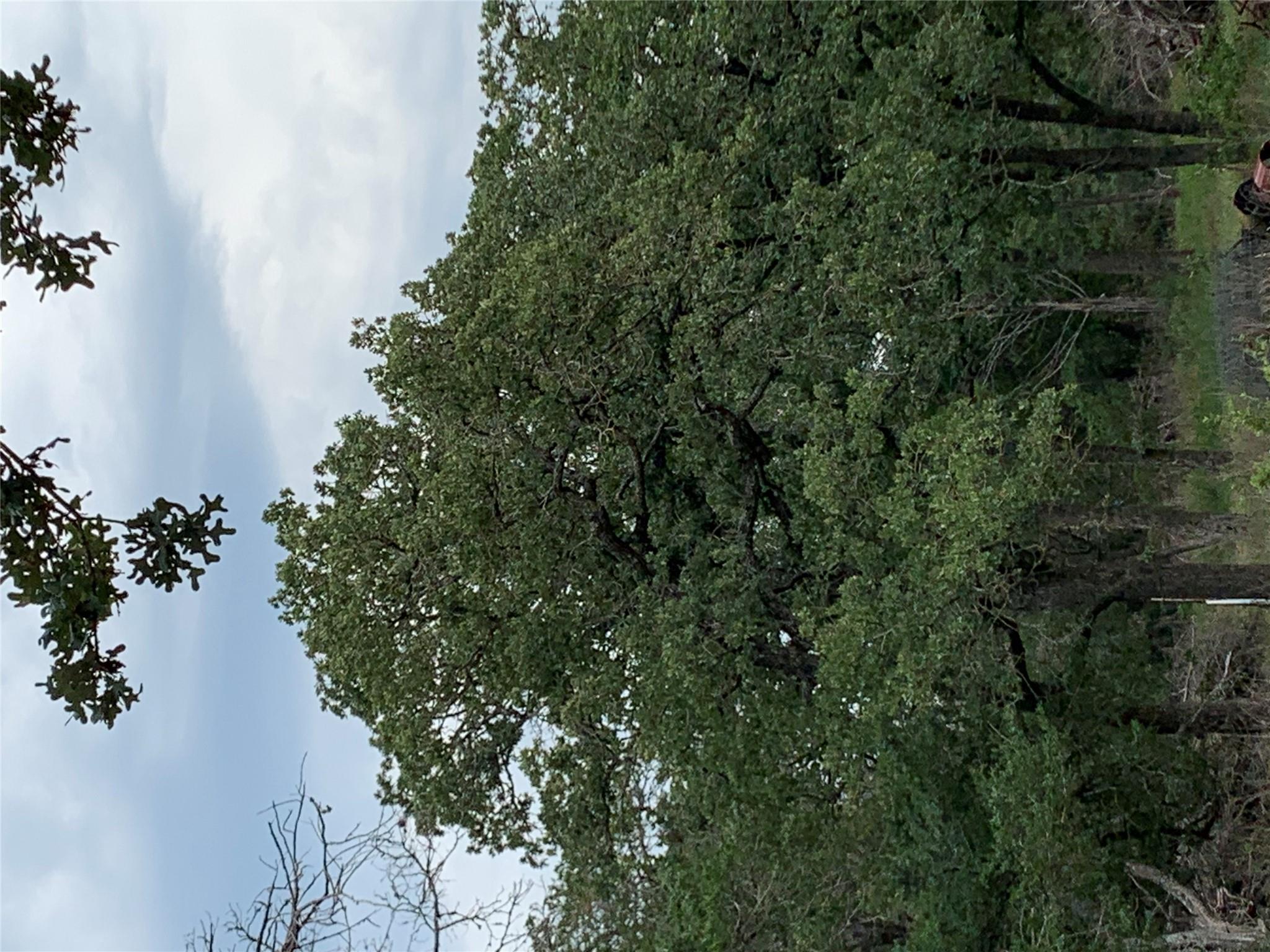 276 Ott Rd, Rosanky, TX 78953