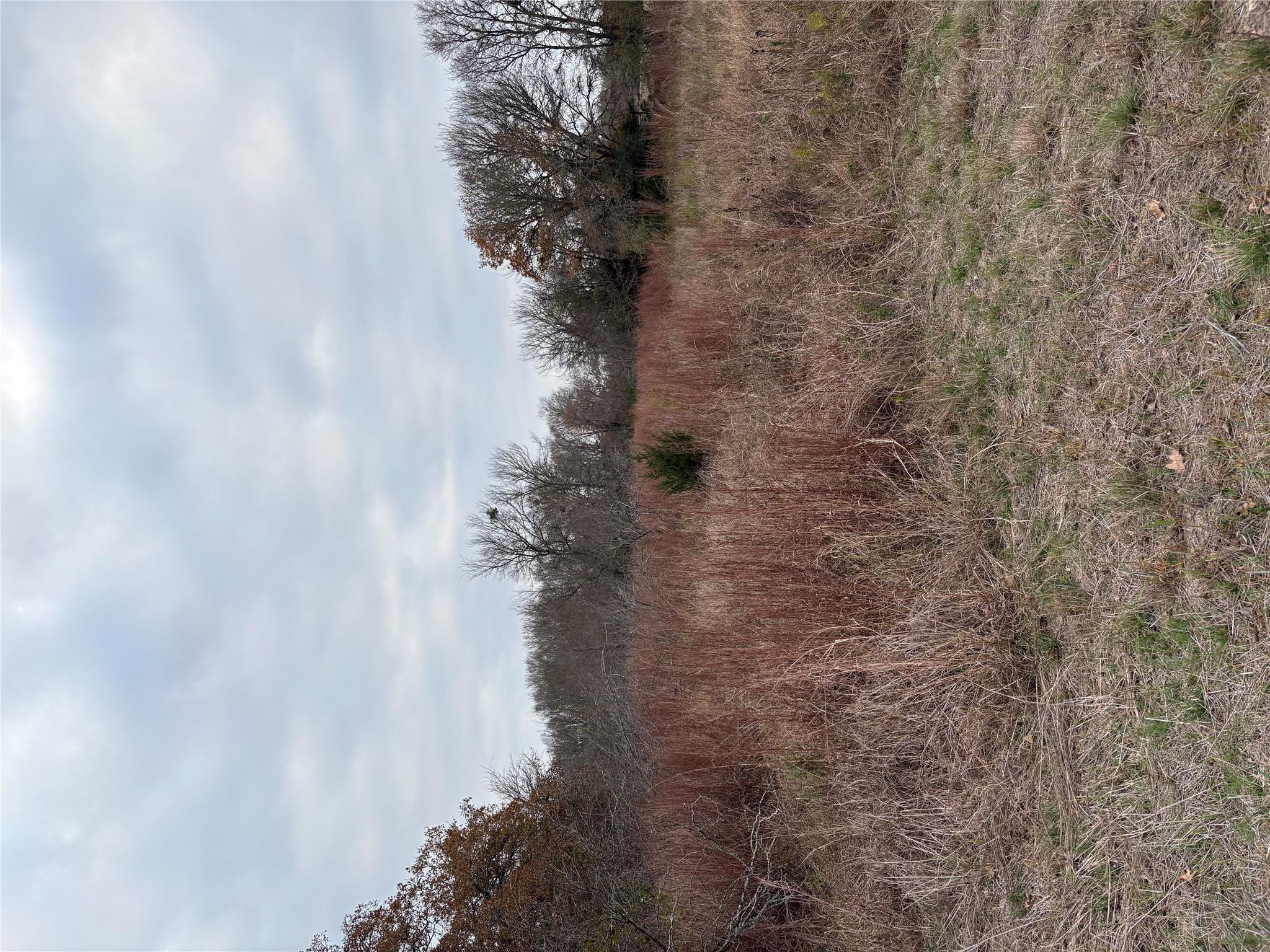 TBD James Craft Road James Craft Rd, Somerville, TX 77879