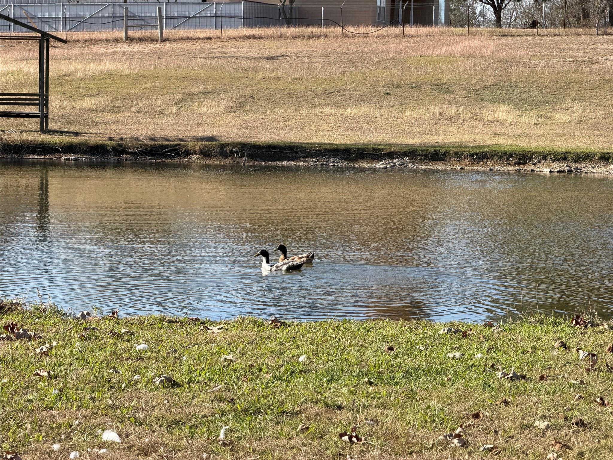 2035 Borchert Loop, Lockhart, TX 78644