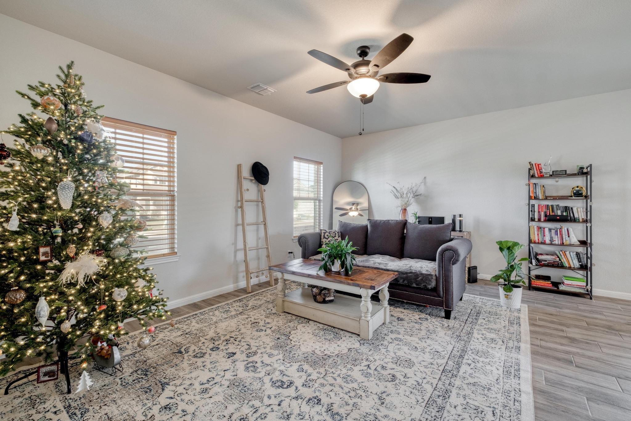 241 Arabian Colt Dr, Georgetown, TX 78626