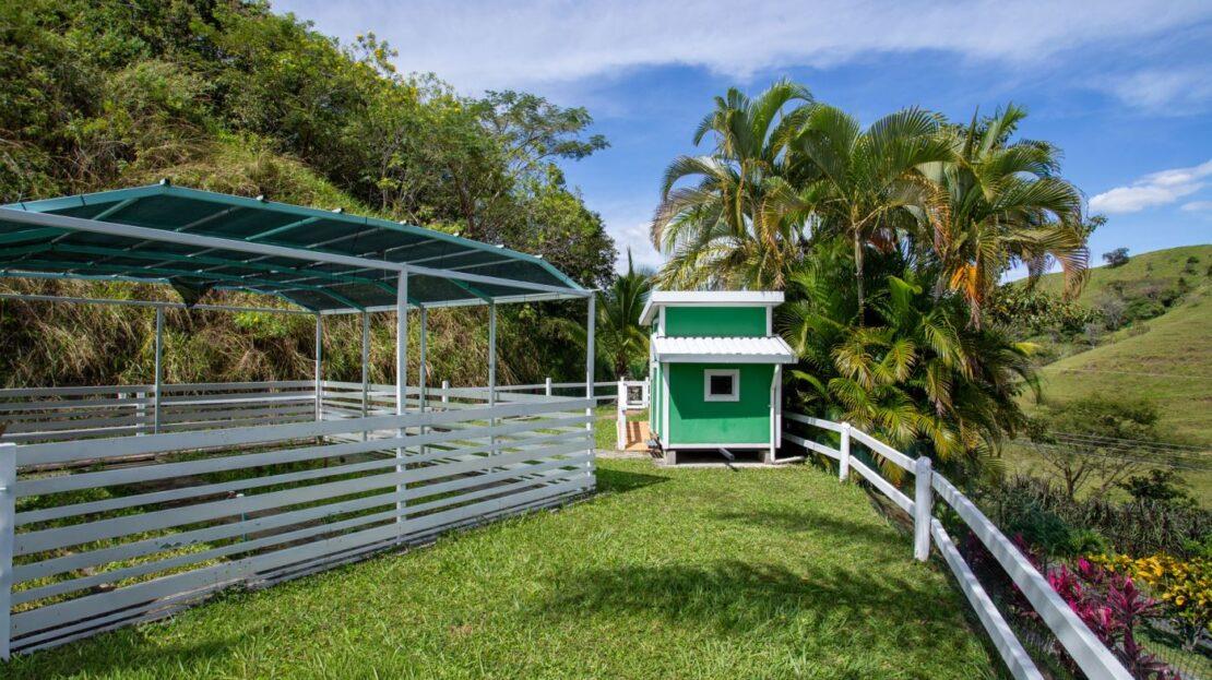 000 Elegant Mediterranean-Style Home, Out of State 20505