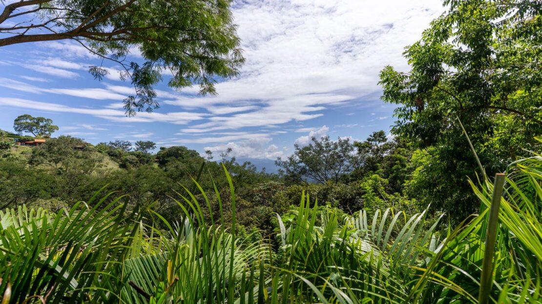 0000 Modern gem in the natural setting, Out of State 20505